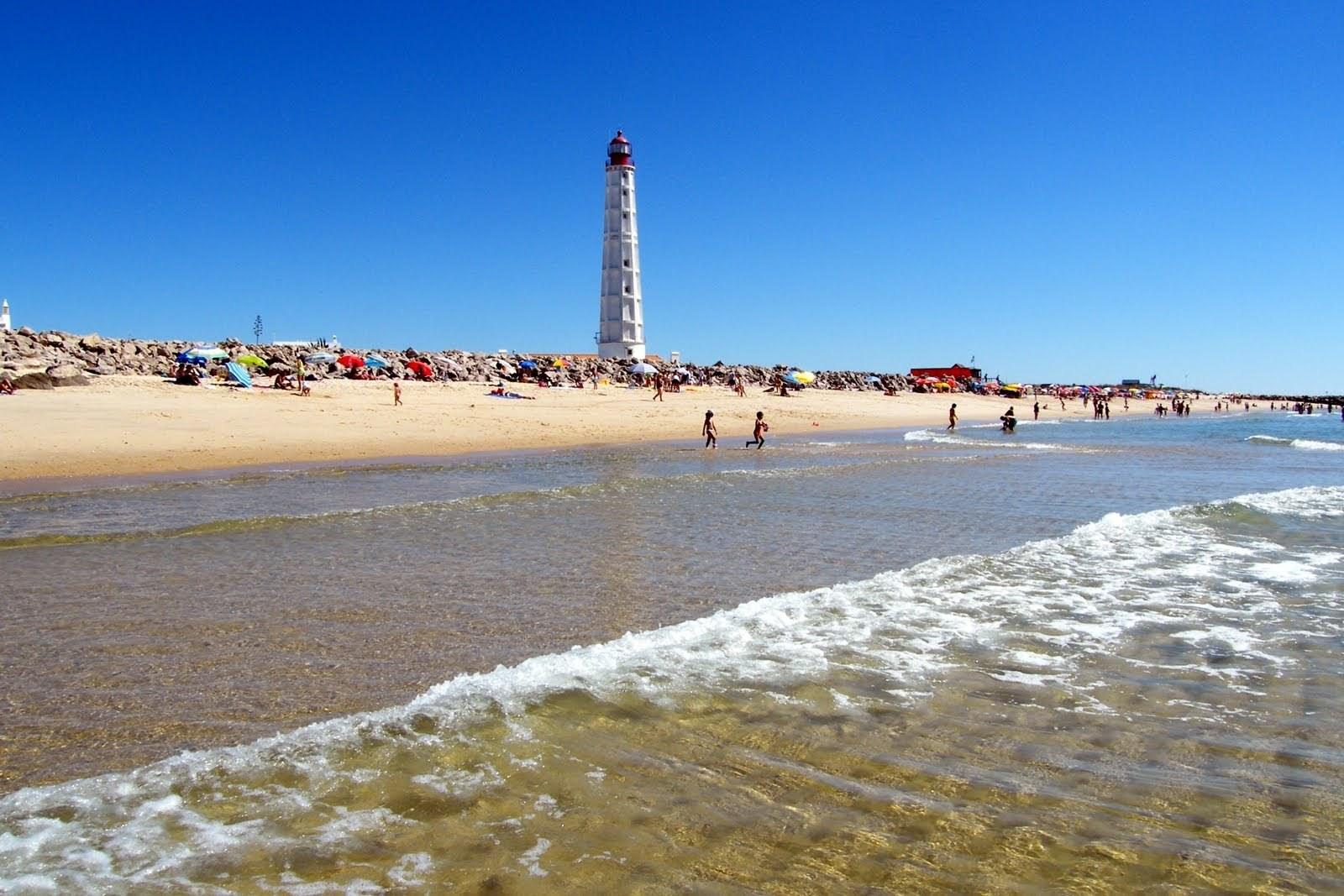 From Faro: 4 Stops, 3 Islands in Ria Formosa Catamaran Tour