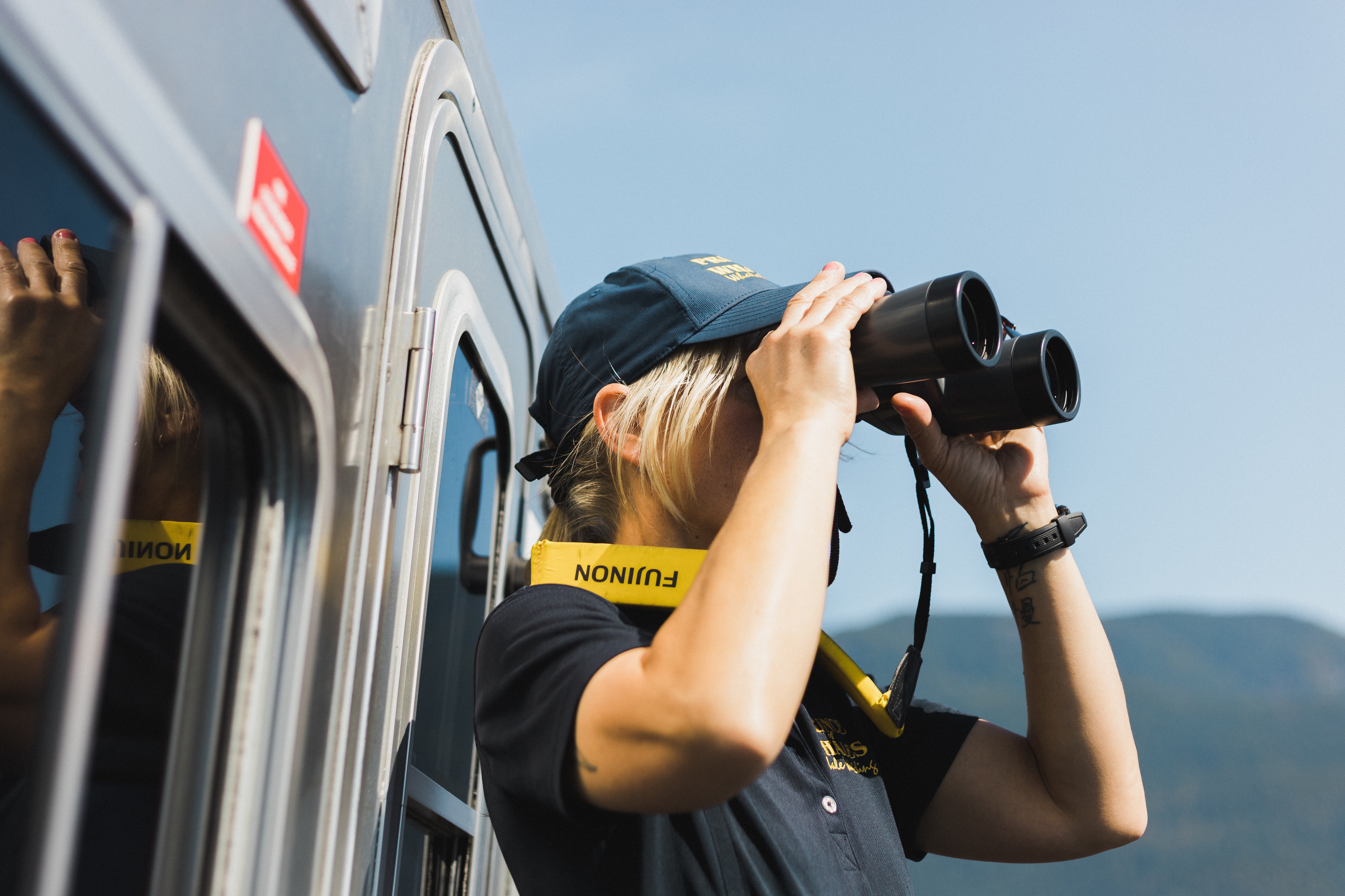 Vancouver whale watching tour — orcas and marine wildlife in the Salish Sea — image 2