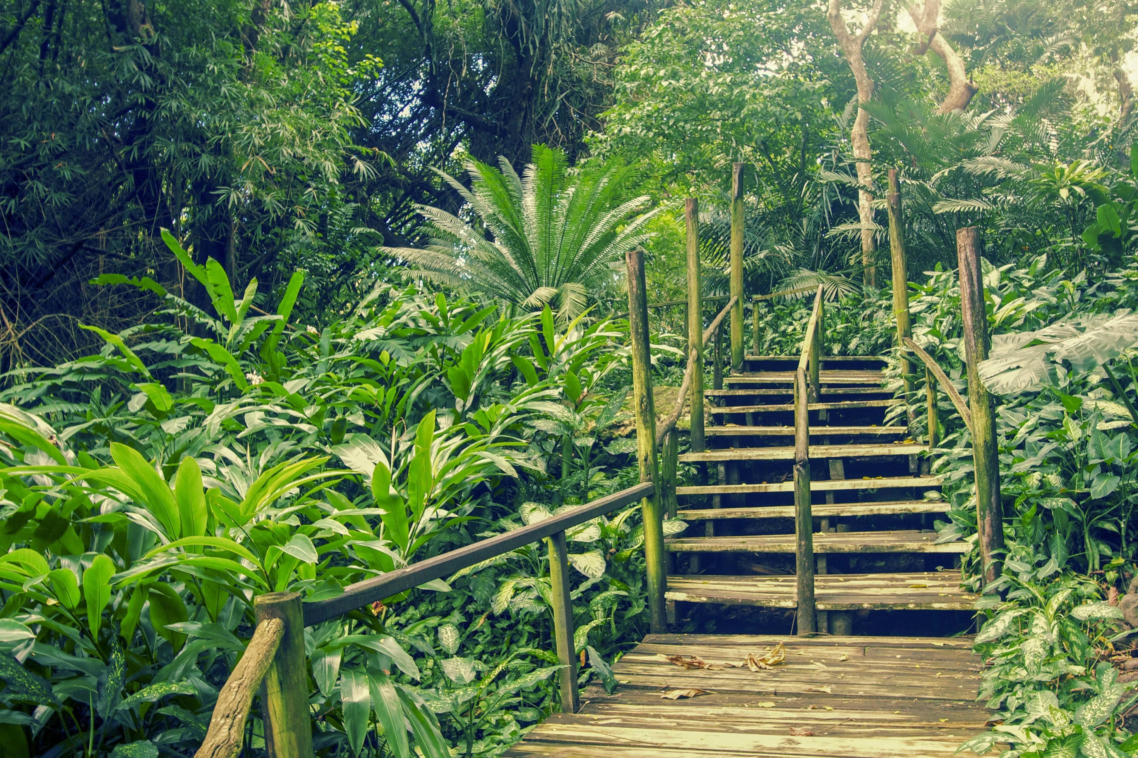 Nadi Cultural & Nature Discovery with Hot Springs