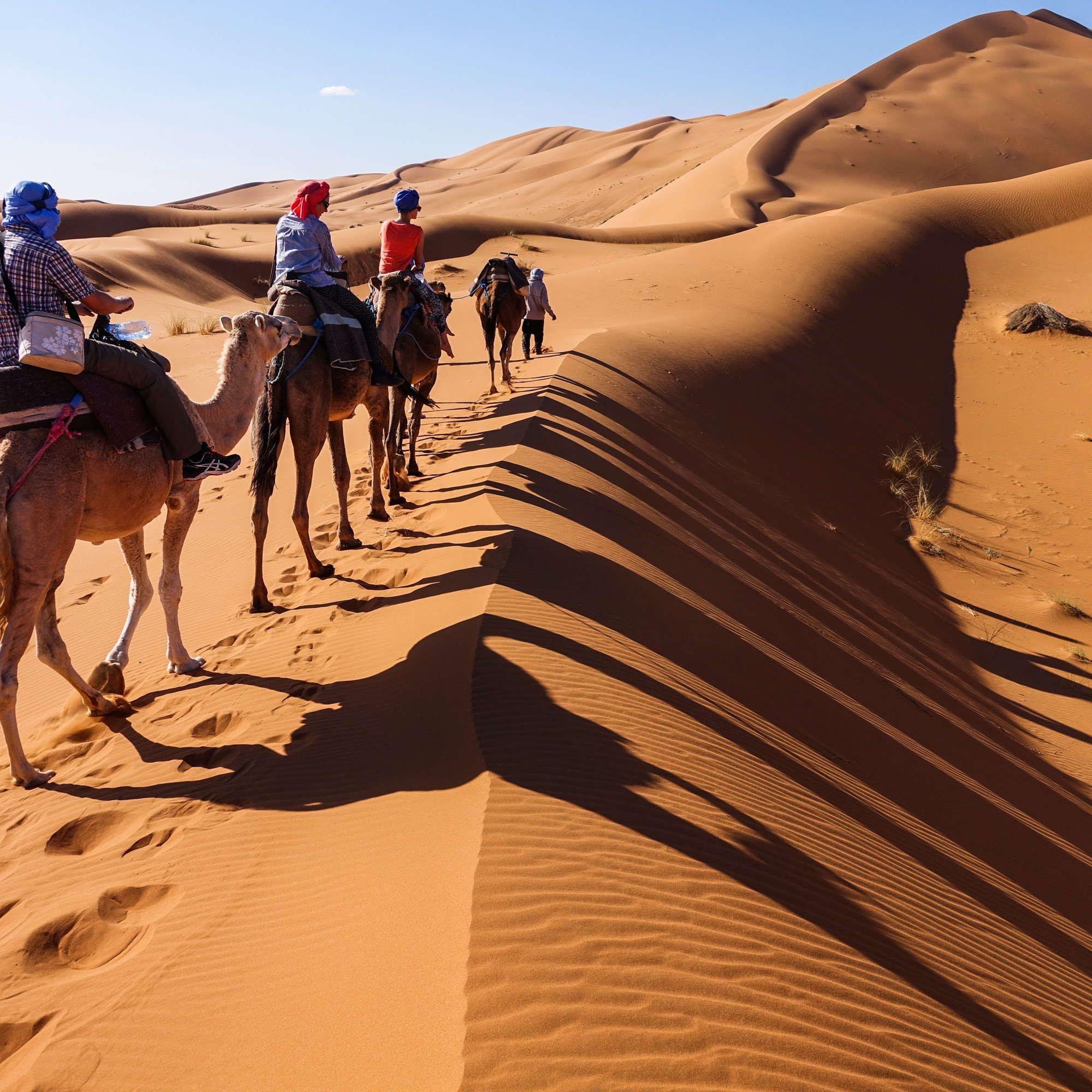 2-Day Sahara Adventure: Roman Ruins, Berber Villages & Desert Dunes