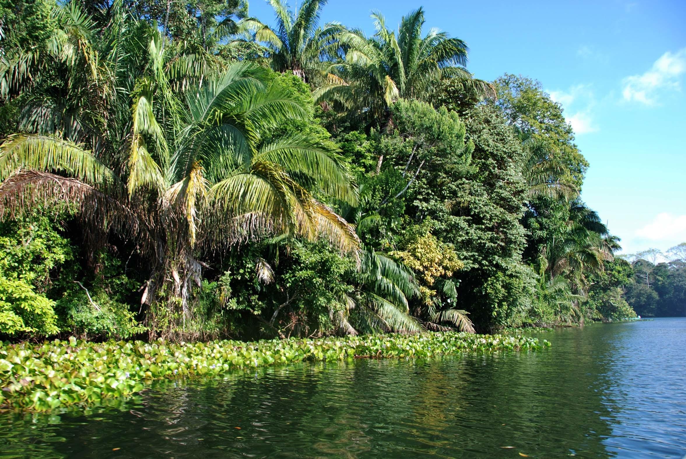 Panama Canal & Monkey Island Explorer