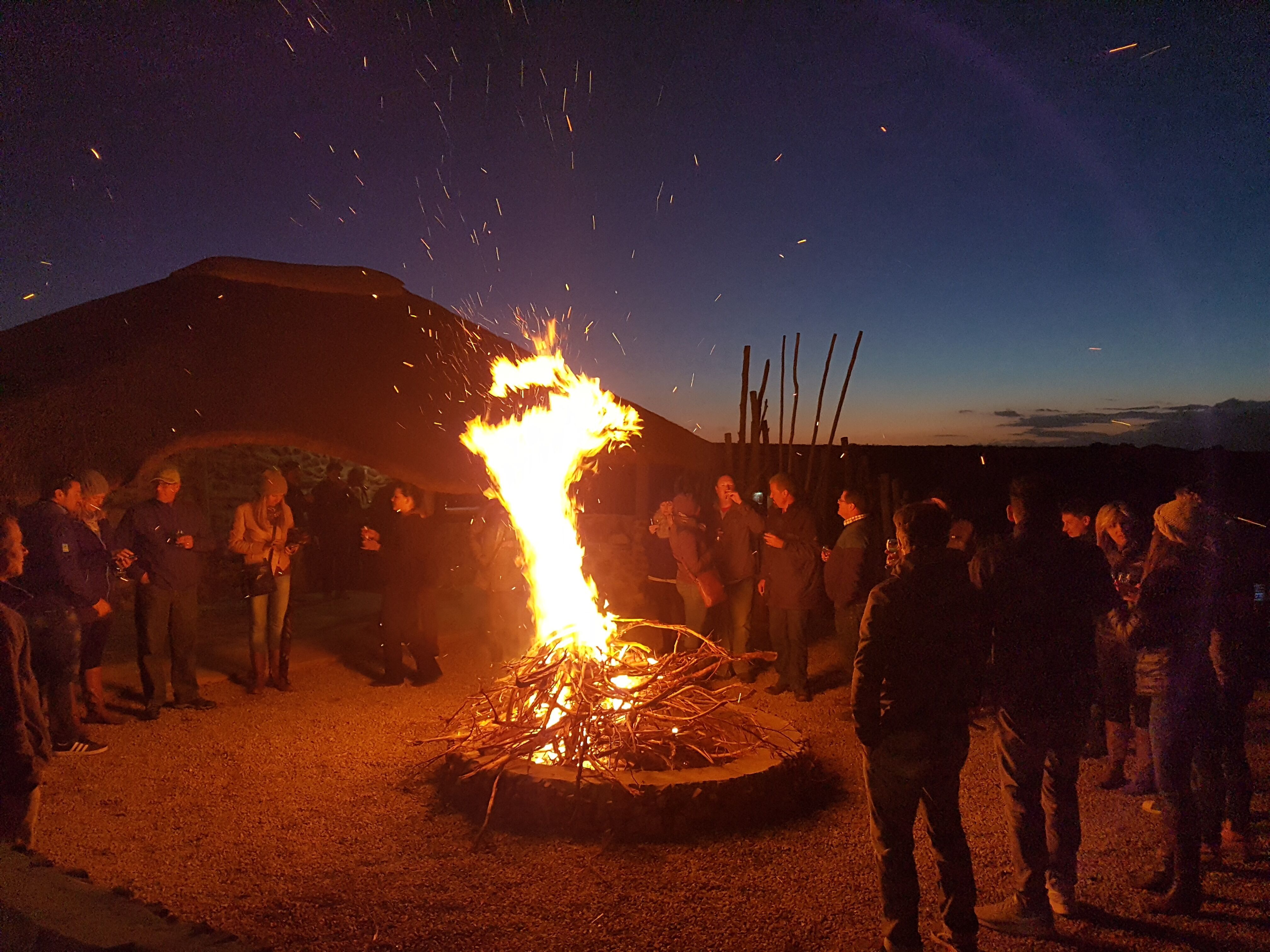 2-Day Big 5 Safari & Cape Agulhas from Cape Town