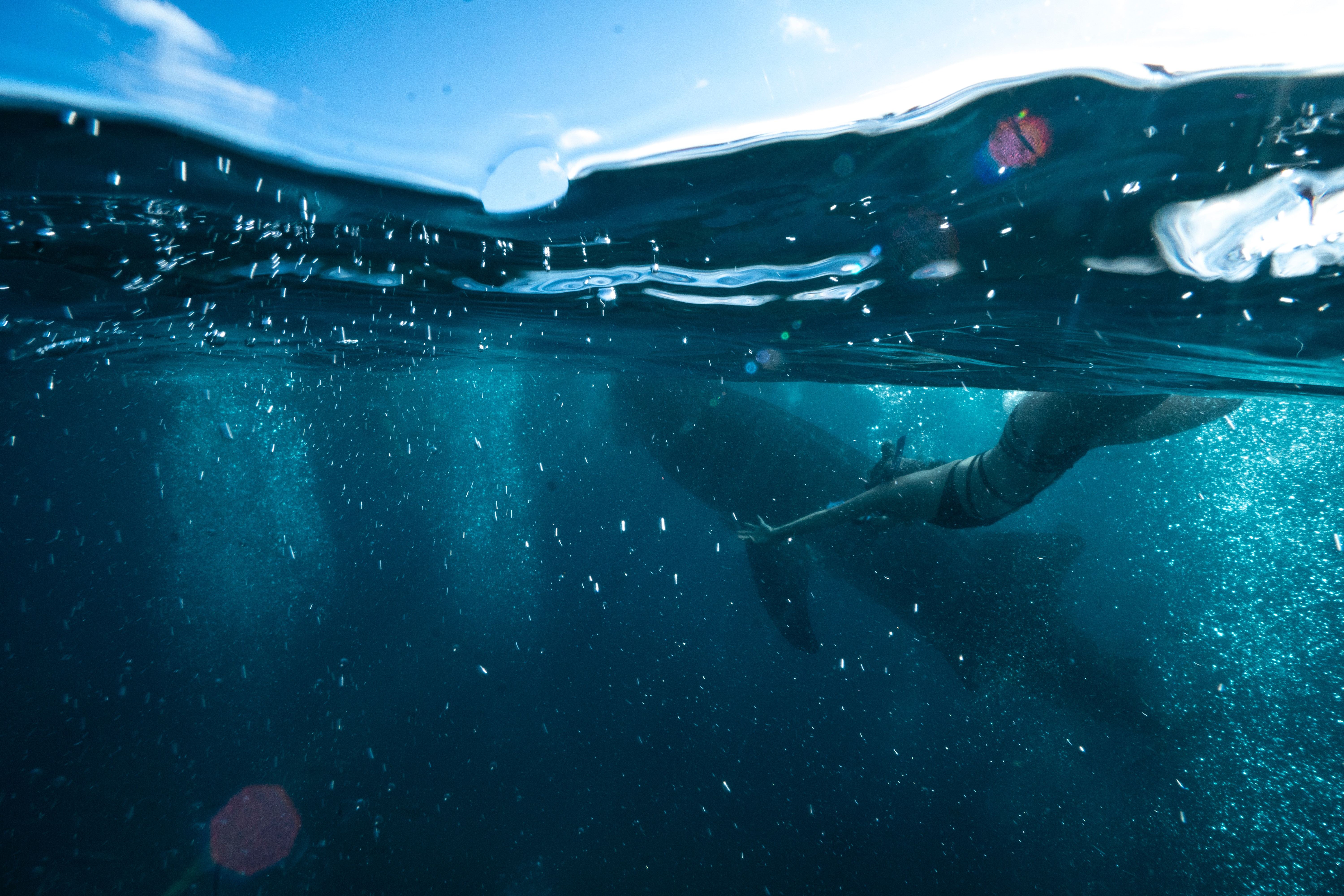 Cebu Full-Day Adventure: Whale Shark Snorkeling & Kawasan Canyoneering