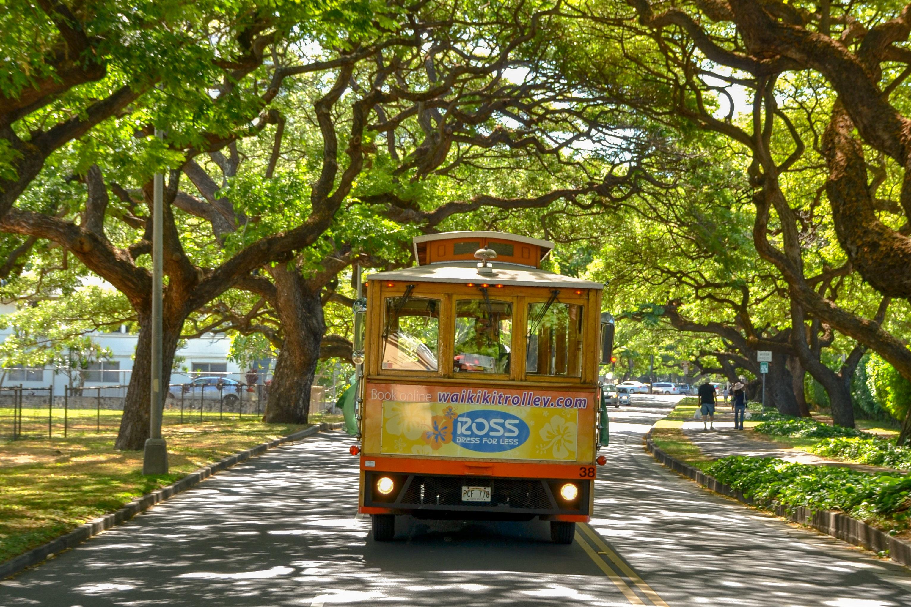 Waikiki Trolley All-Line Hop-On Hop-Off Pass