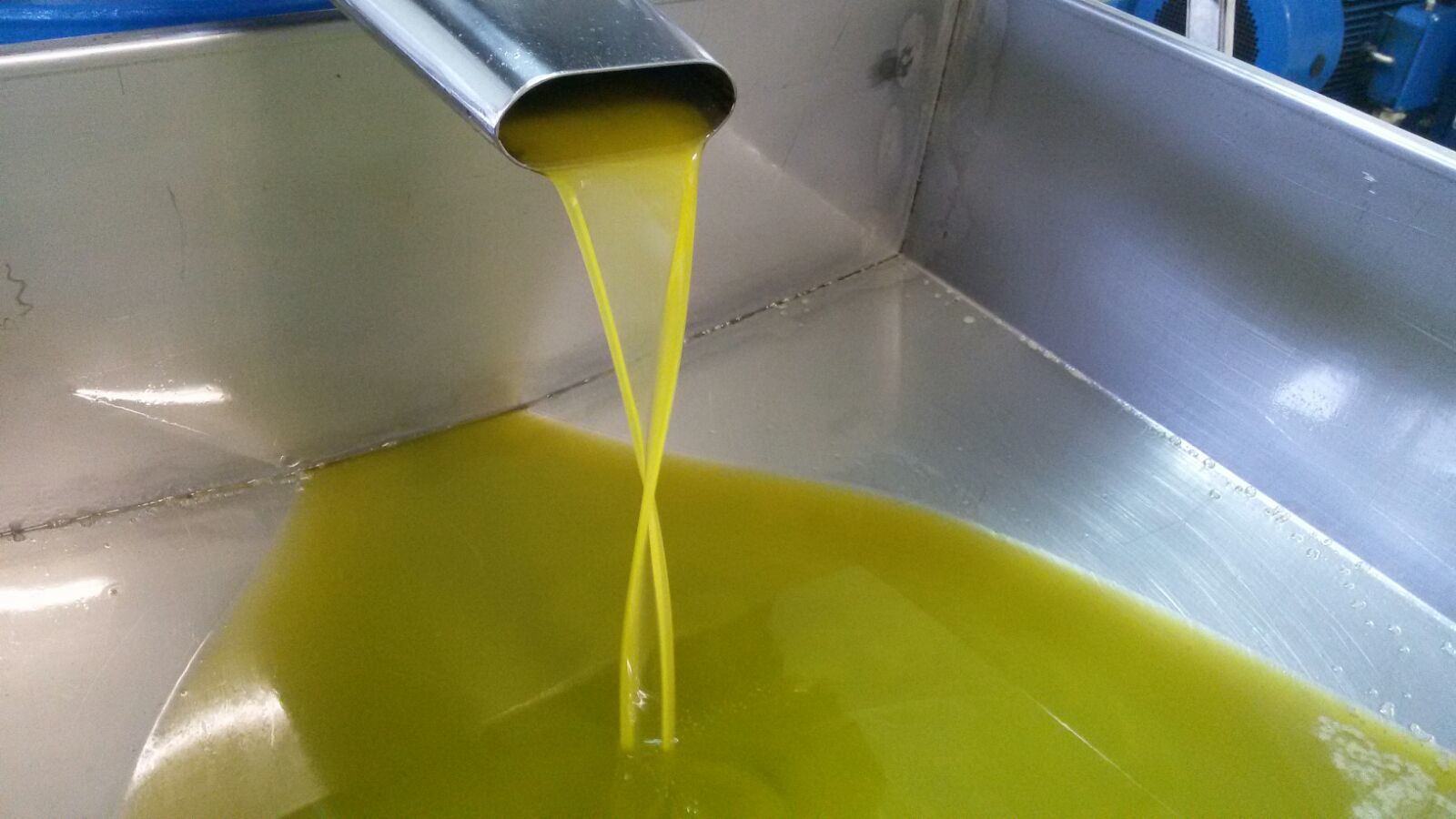 Sorrento Farm Experience: Lemon, Olive Oil & Wine Tasting with Lunch