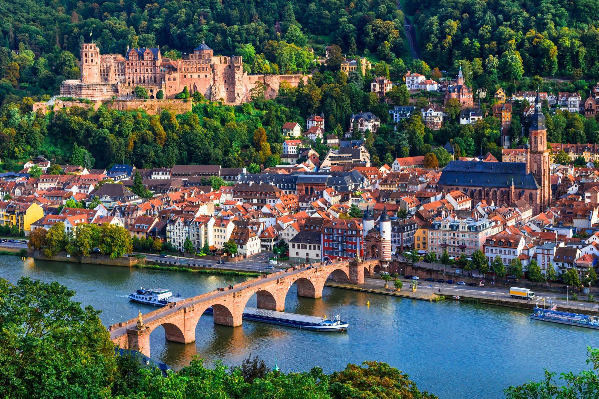 Heidelberg Castle & Rhine Valley Discovery