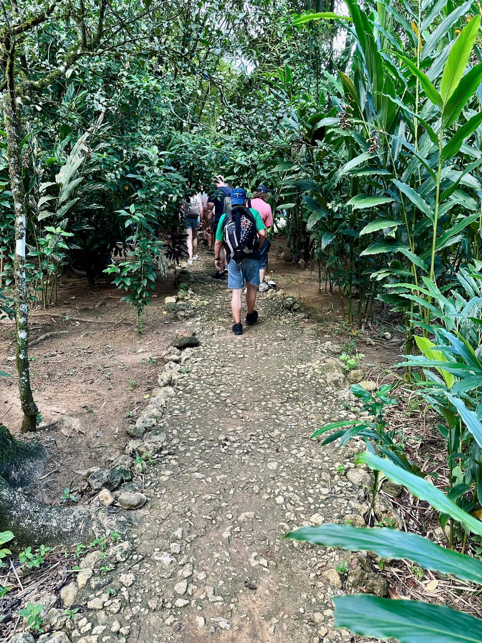 Dominican Republic 3-in-1: Los Haitises, Yanigua Falls & Montaña Redonda