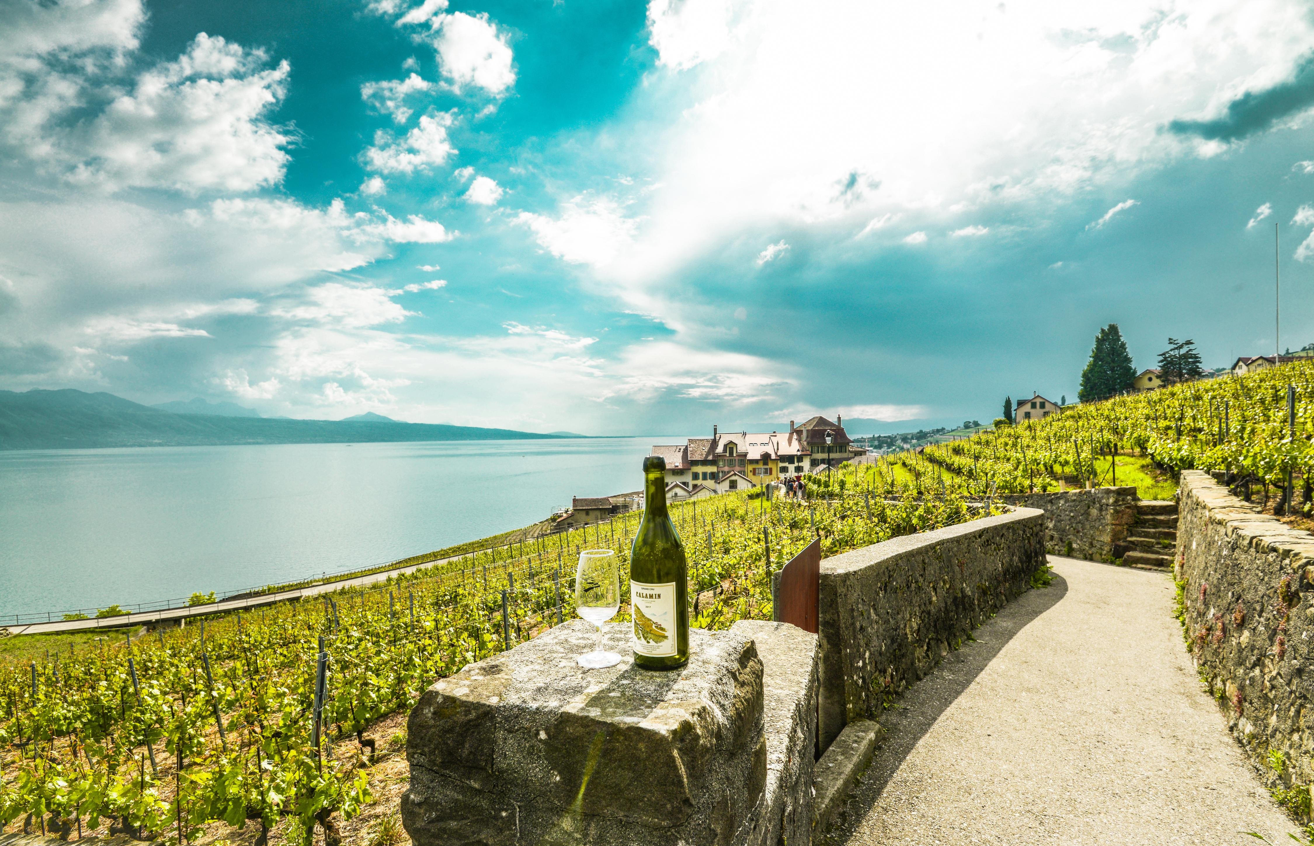 Swiss Riviera Discovery: Chaplin Museum, Lavaux Vineyards & Medieval Castle