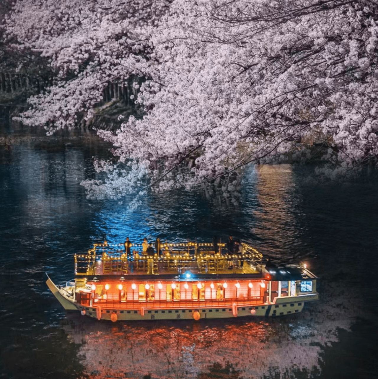 Tokyo: Sumida River Cherry Blossom Cruise & Japanese Cuisine