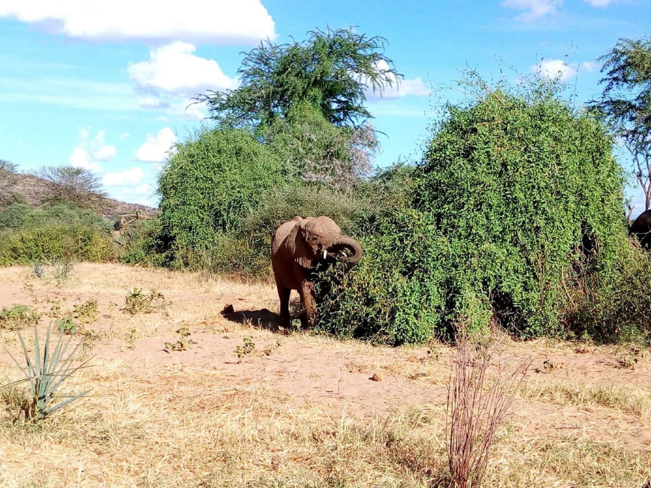 Lake Nakuru National Park Wildlife Safari from Nairobi