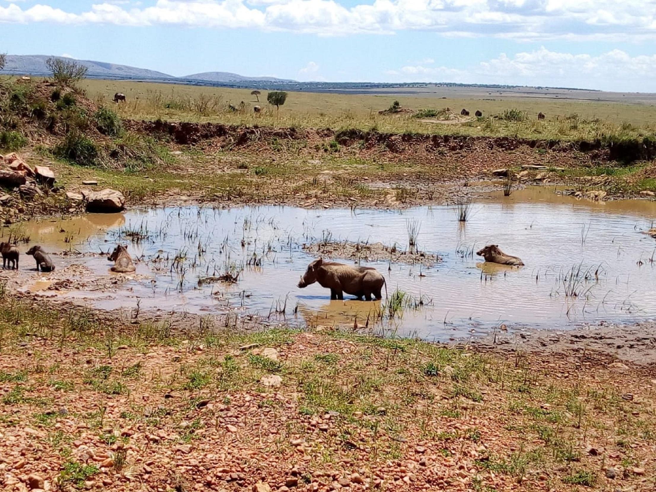 Lake Nakuru National Park Wildlife Safari from Nairobi