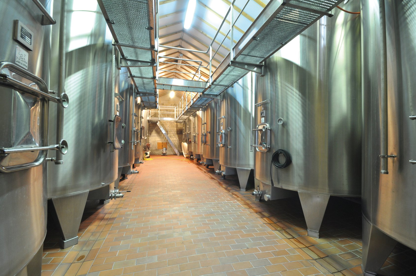 wine tour in the Médoc — photo 4