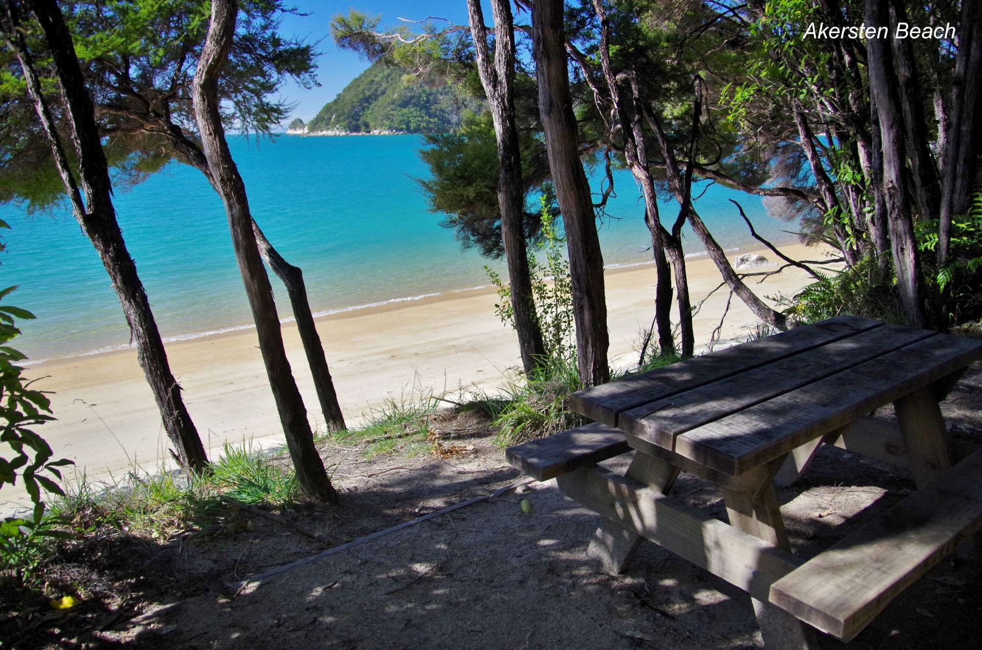 South Island tour photo — image 7