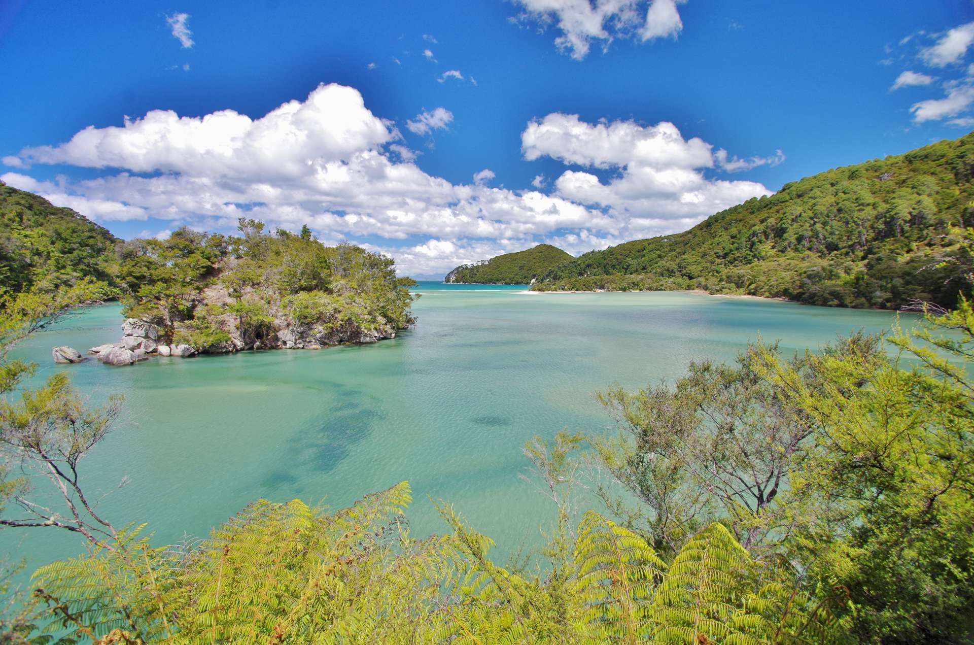 South Island tour photo — image 8