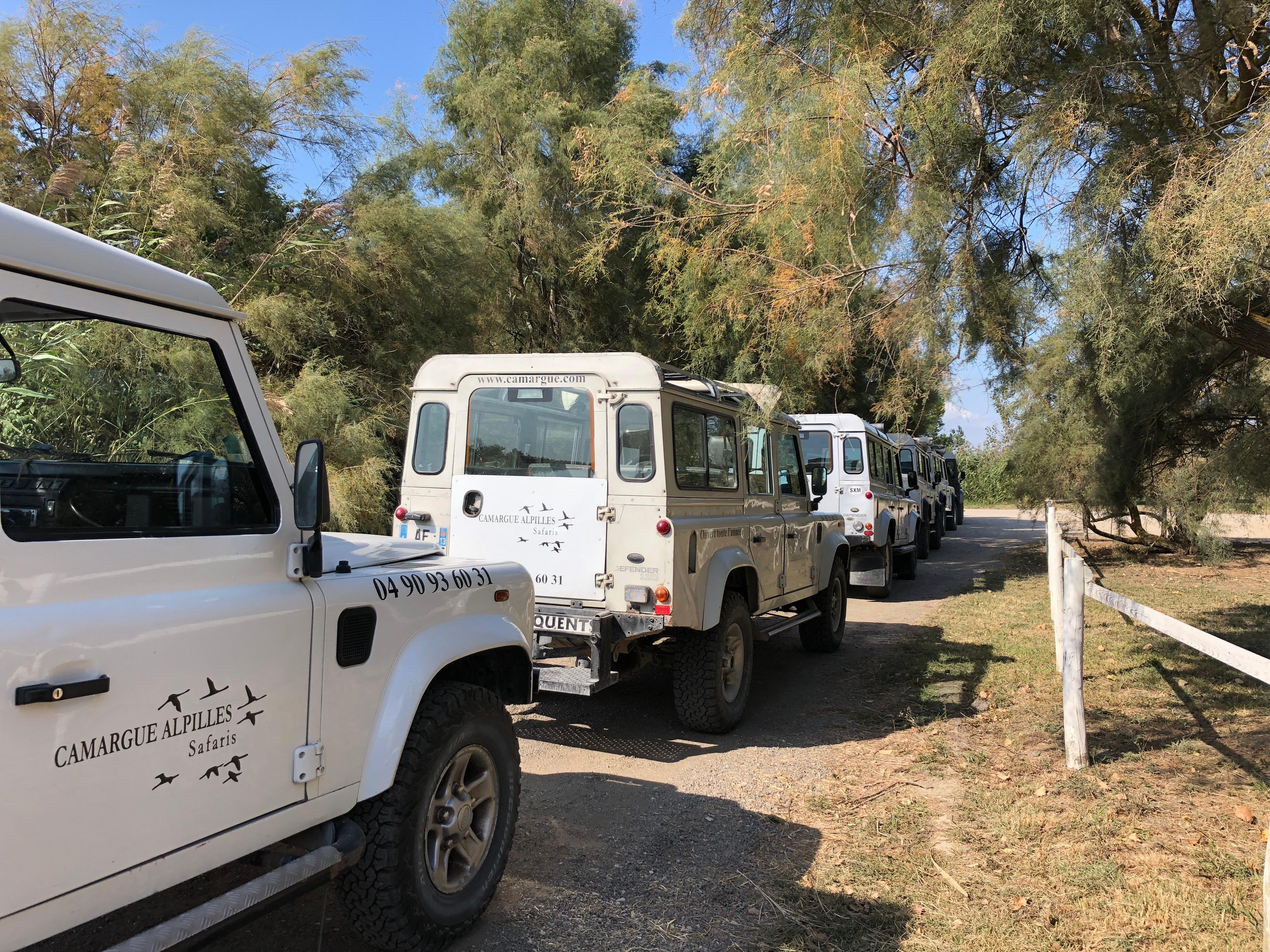 Half-Day Camargue 4x4 Safari from Arles