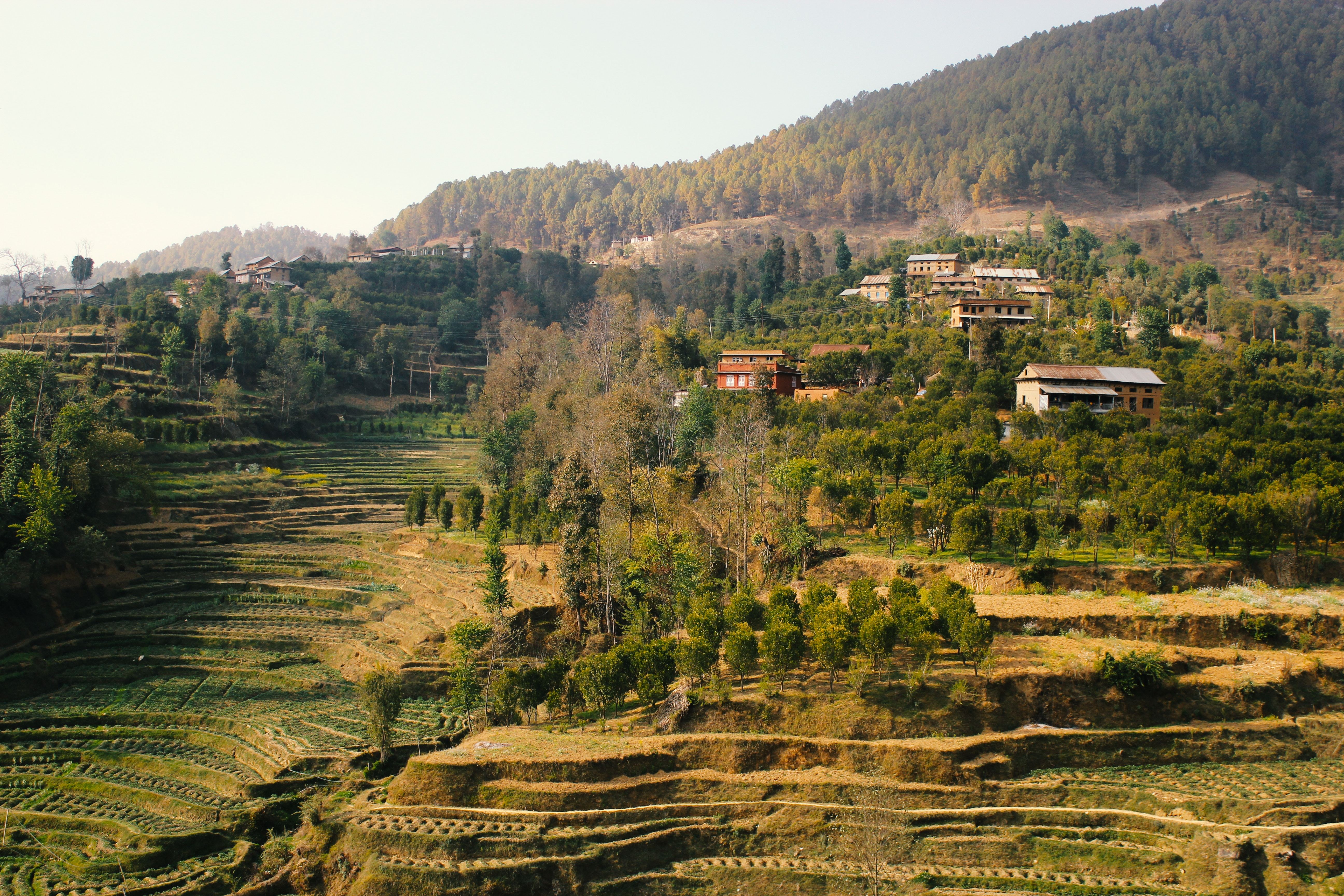Kathmandu Private Guided Cultural Exploration