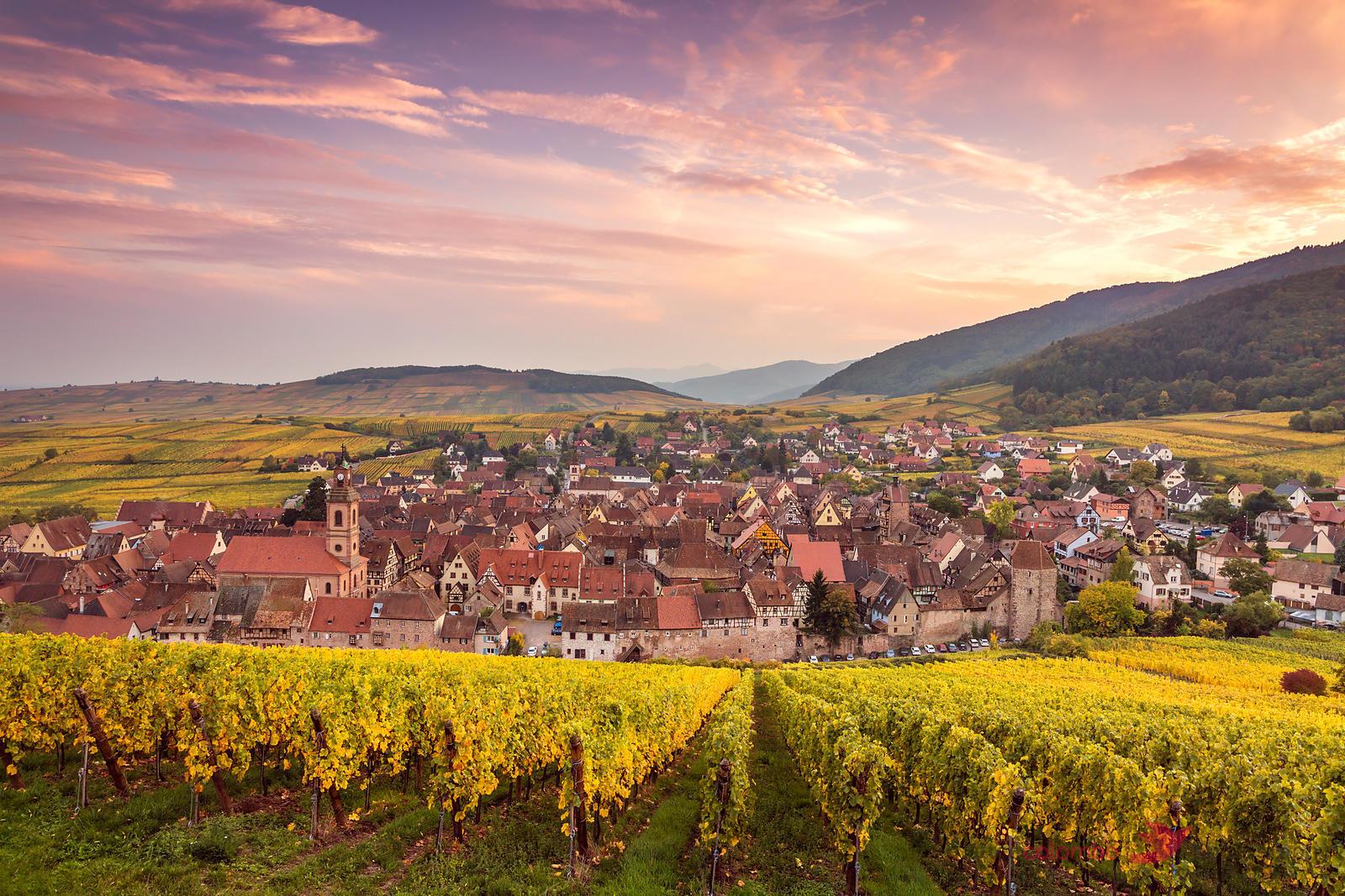 Alsace's Four Enchanting Villages Day Trip from Colmar