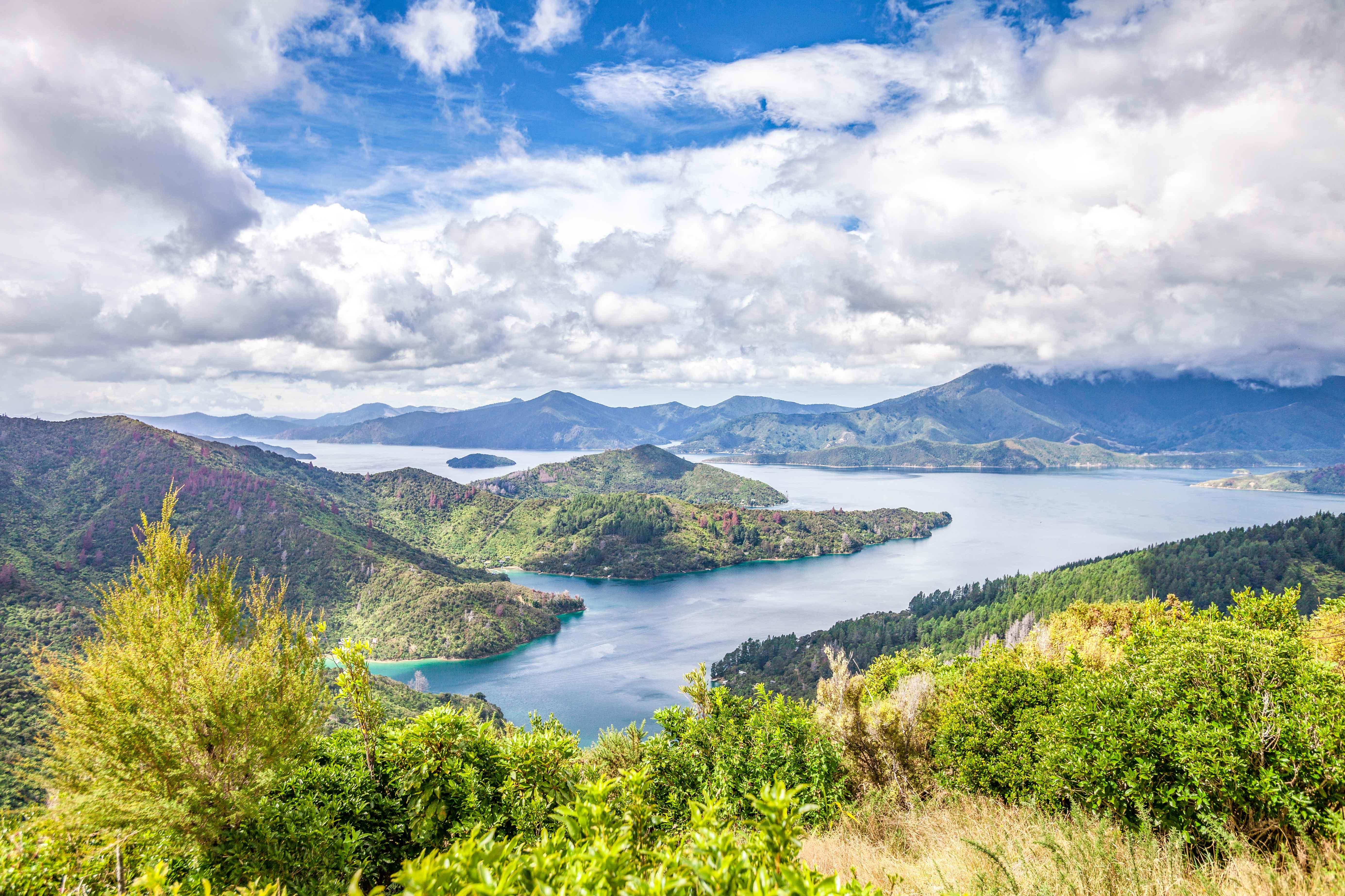 Marlborough Sounds & Ship Cove Cruise