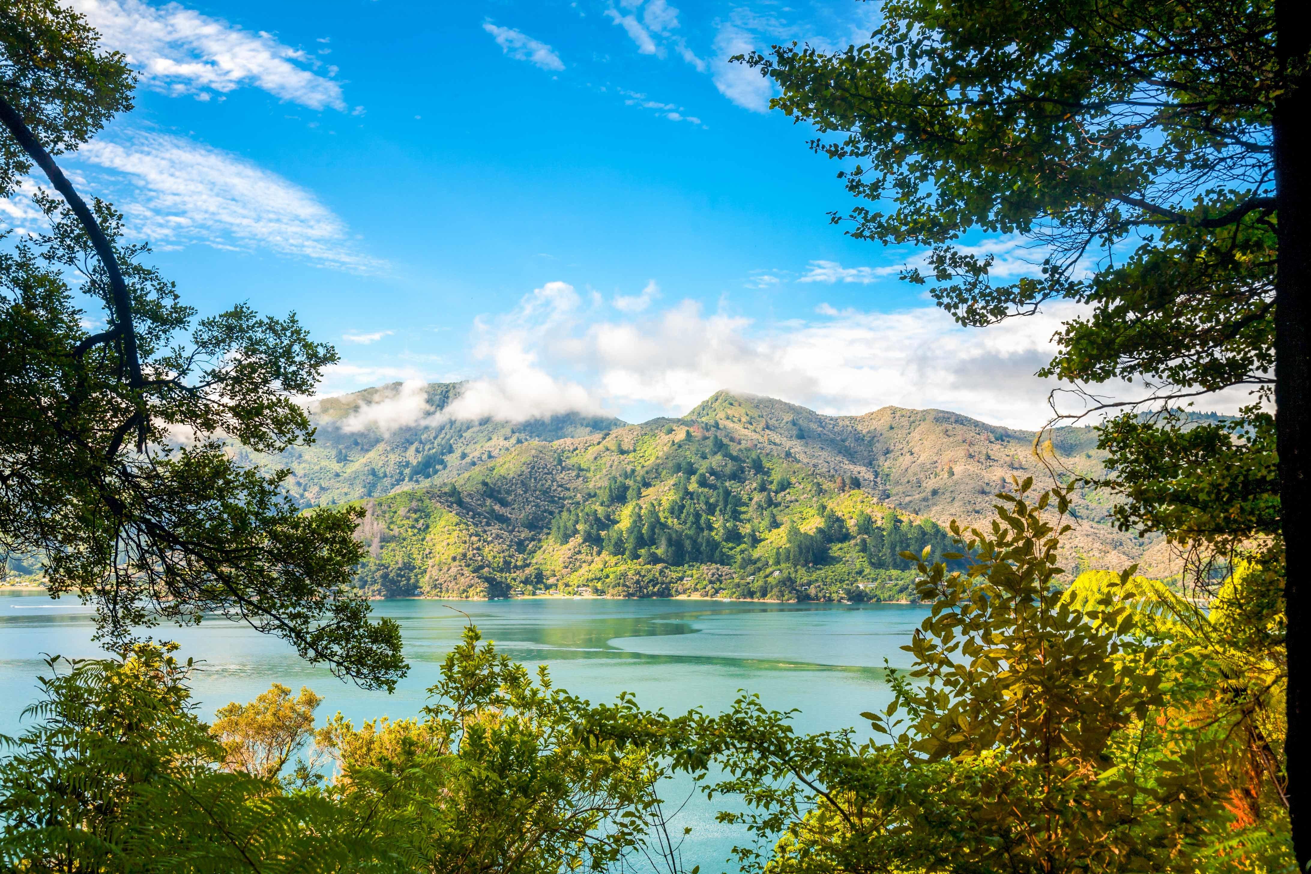 Queen Charlotte Sound Cruise & Track Hike
