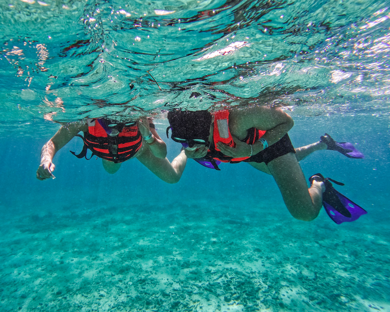 Tulum Paradise Reef Snorkeling Adventure