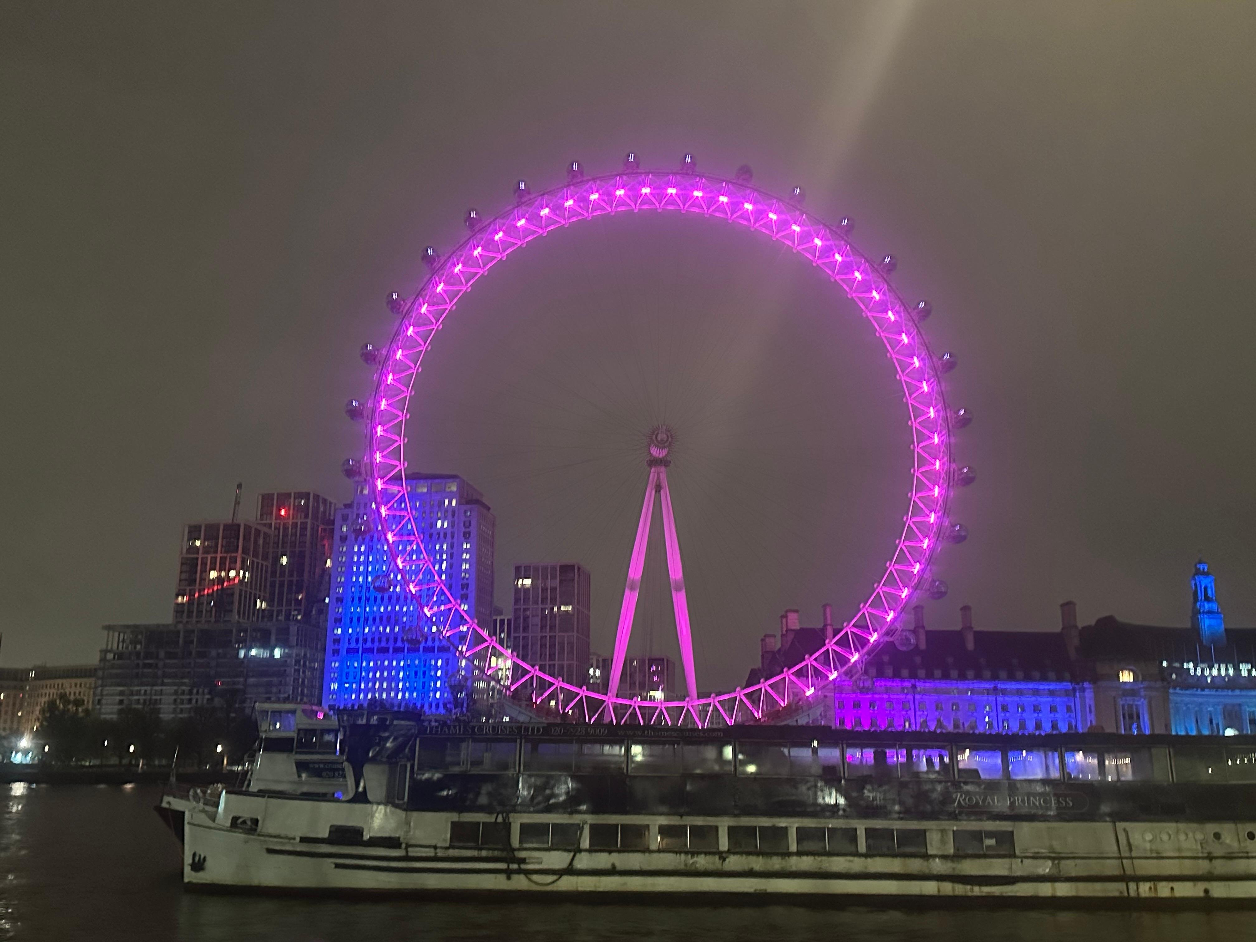 Private London Night Tour by Black Cab