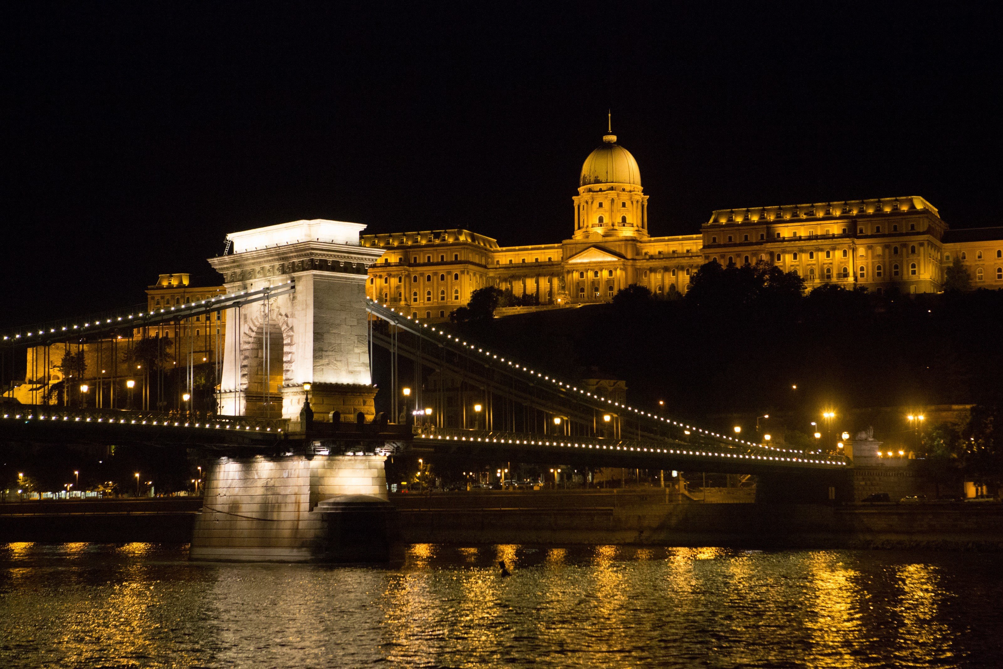 Evening Walking Tour & Danube River Cruise