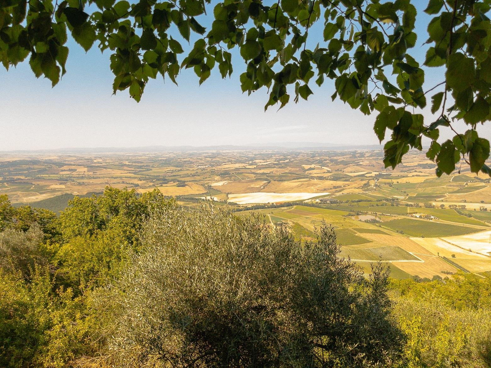 wine tour in Montalcino — photo 9