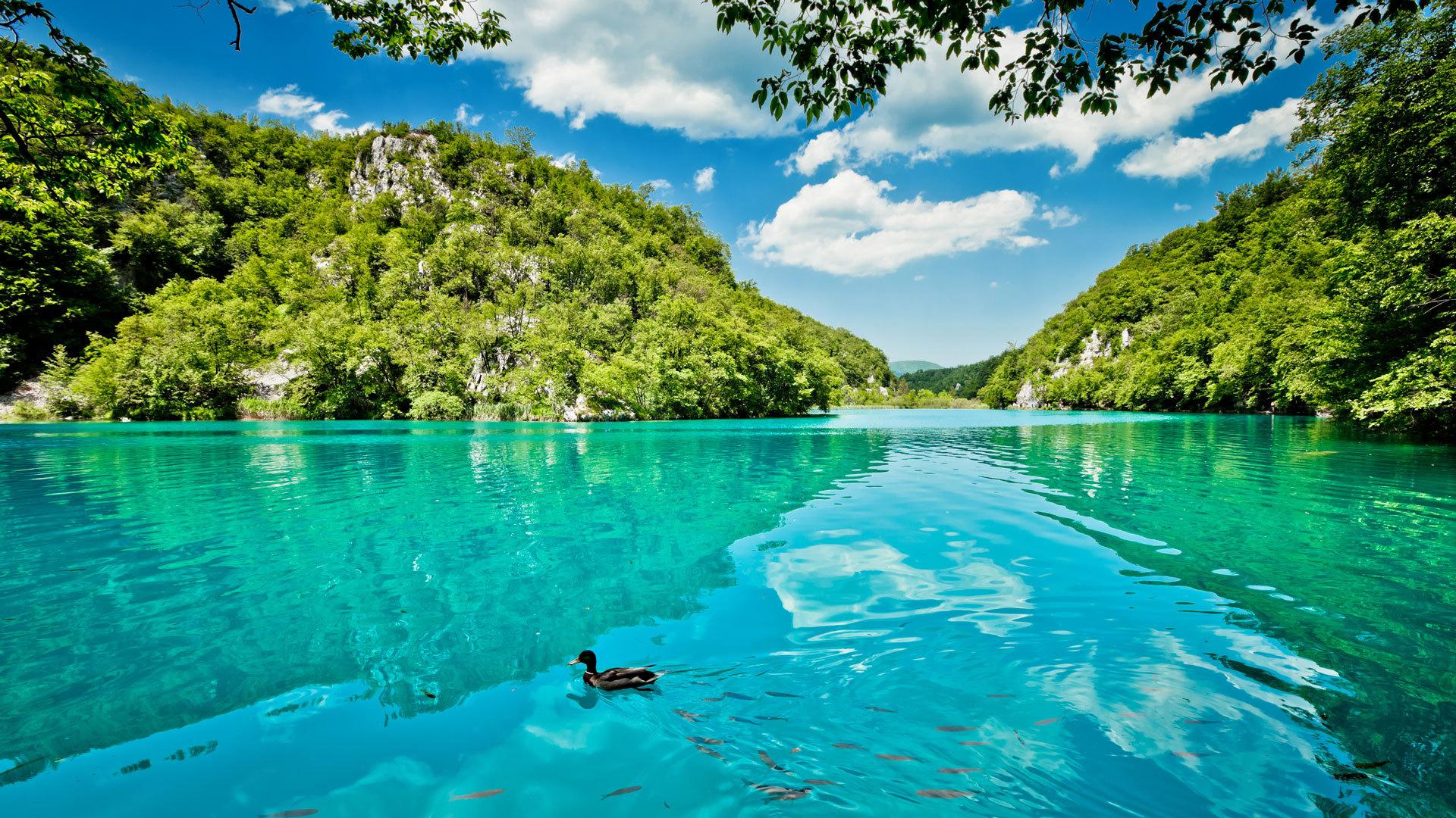 Split to Zagreb Transfer: Plitvice Lakes Guided Day Trip