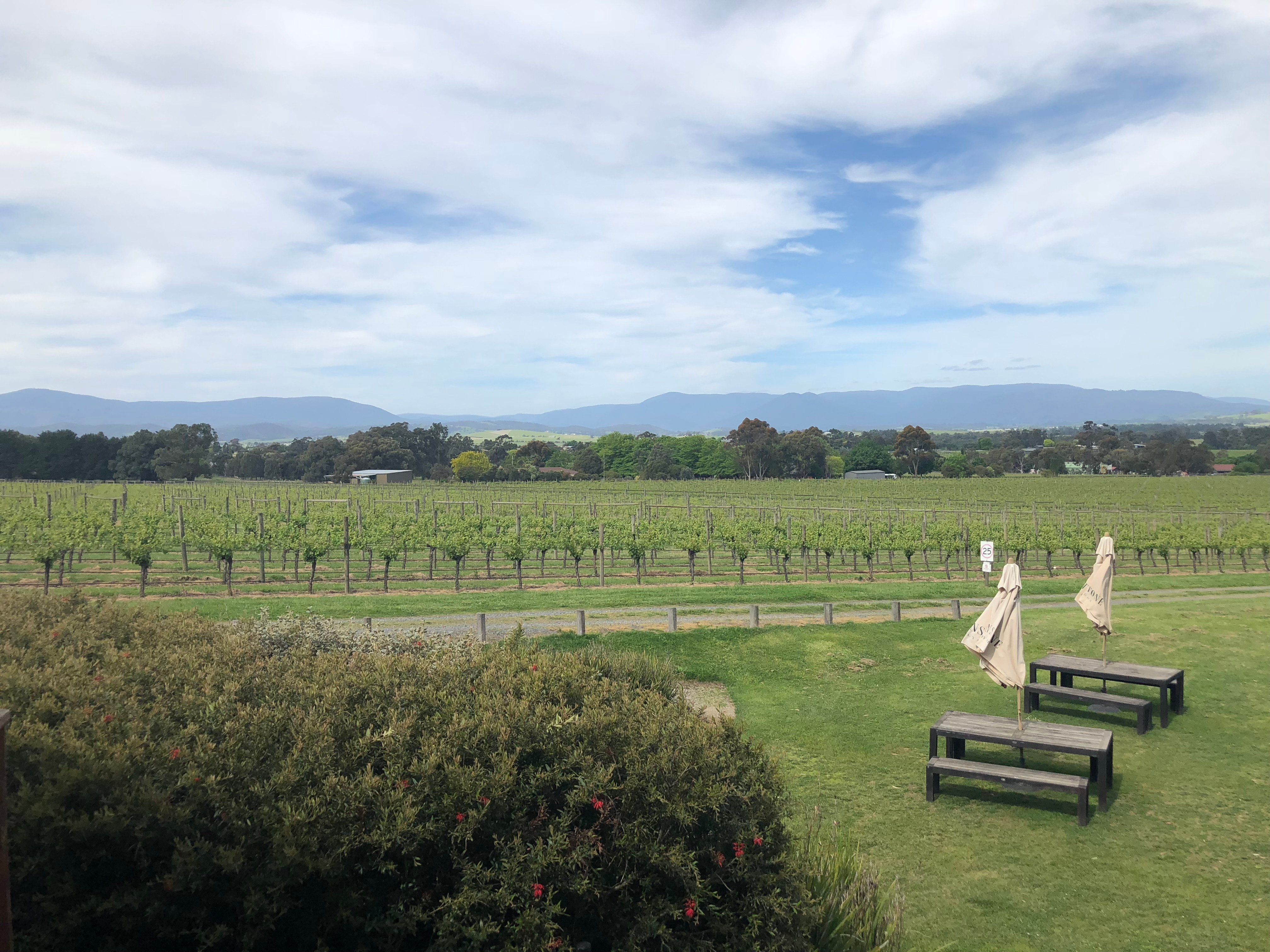 Mornington Peninsula Wine Trail with Lunch