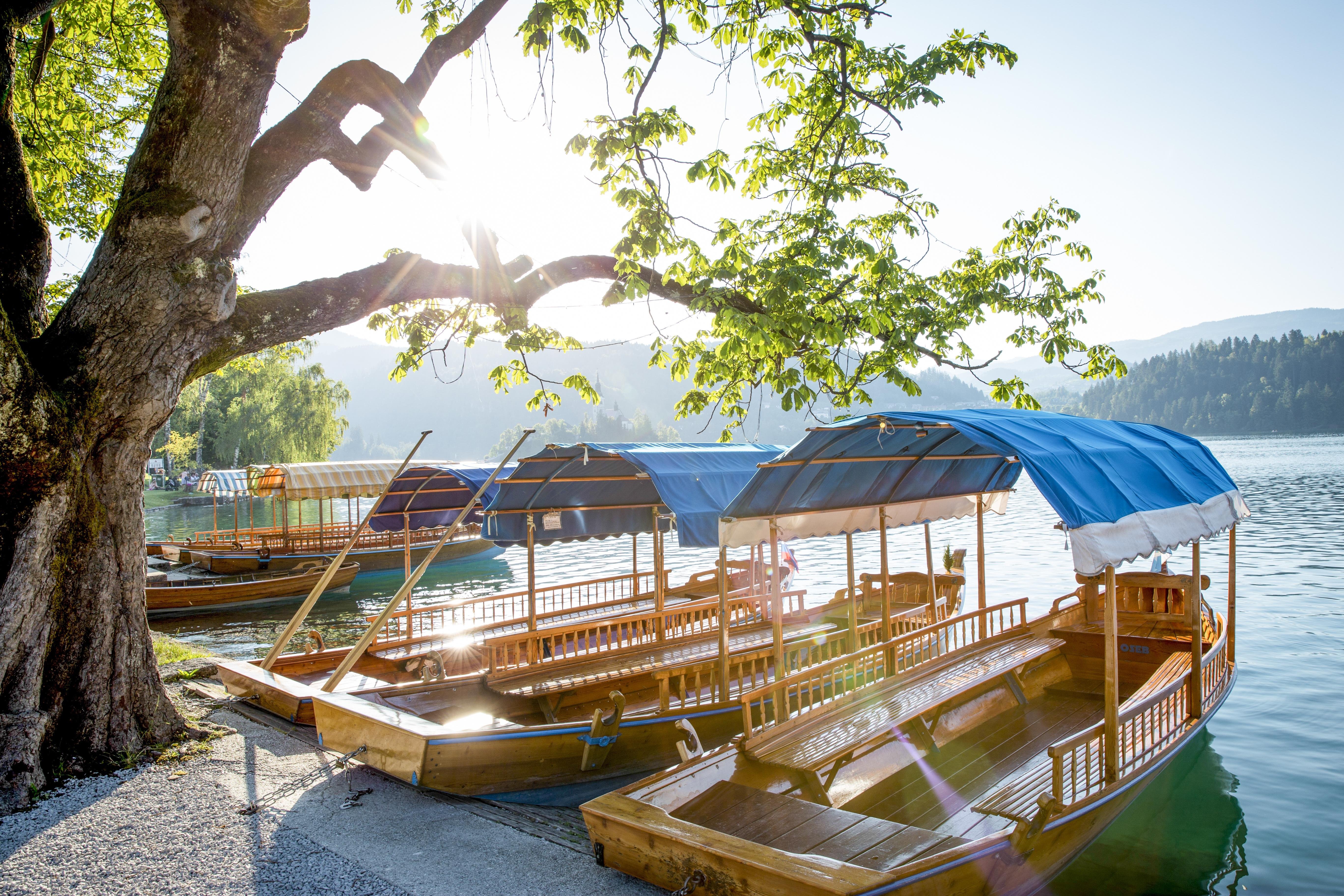 From Ljubljana: Trip to Lake Bled and Bled Castle — Lake Bled day trip from Ljubljana (1)