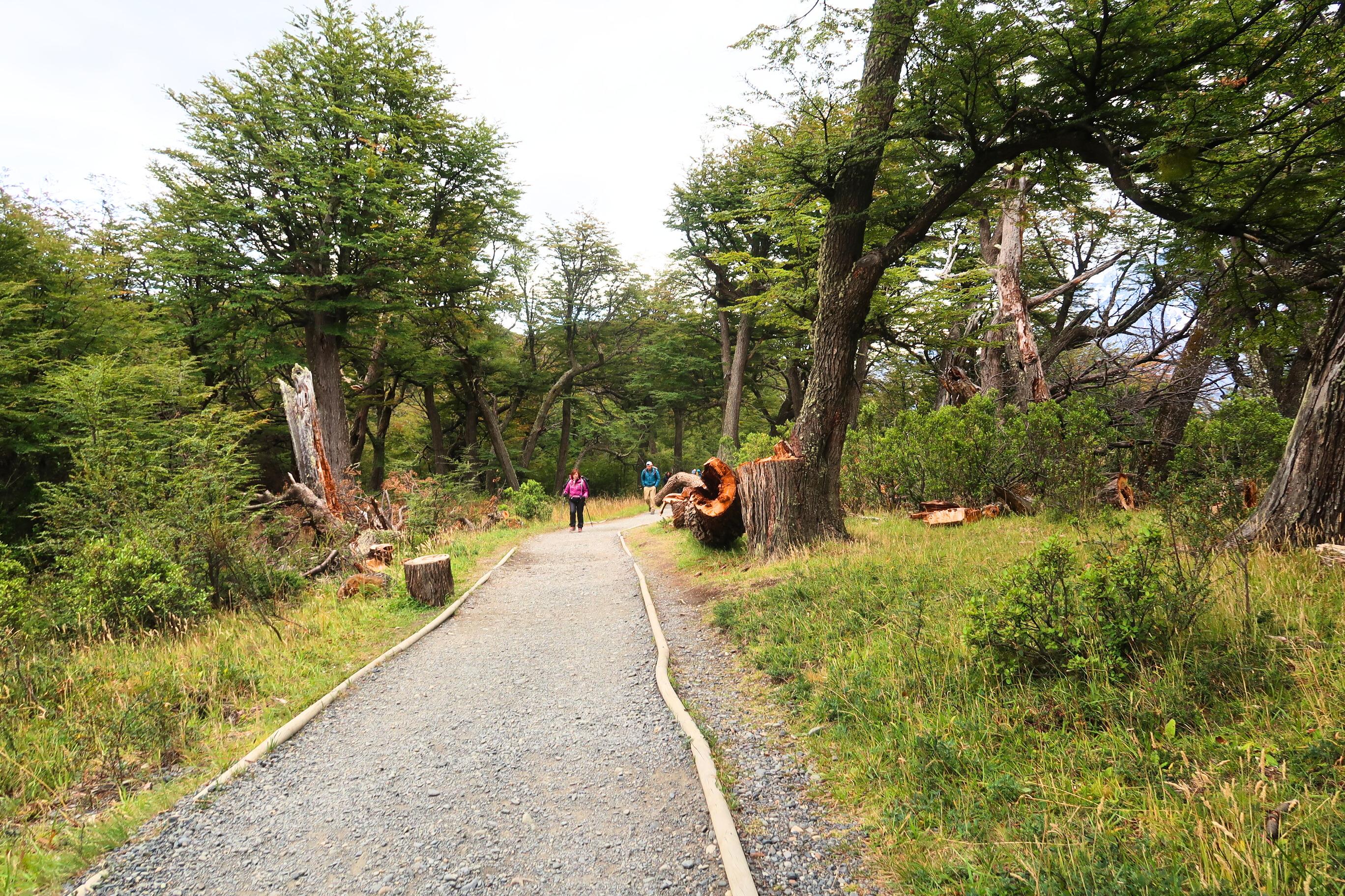 Torres del Paine & Milodon Cave Full-Day Expedition