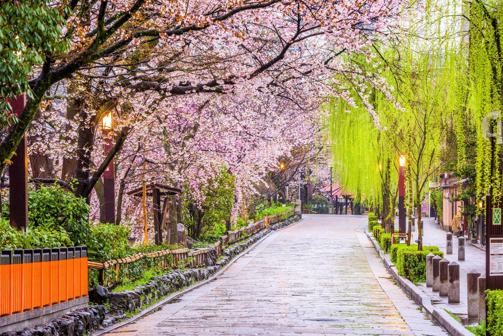 Gion Corner Kyoto - evening streets and teahouse district around the theatre — image 22