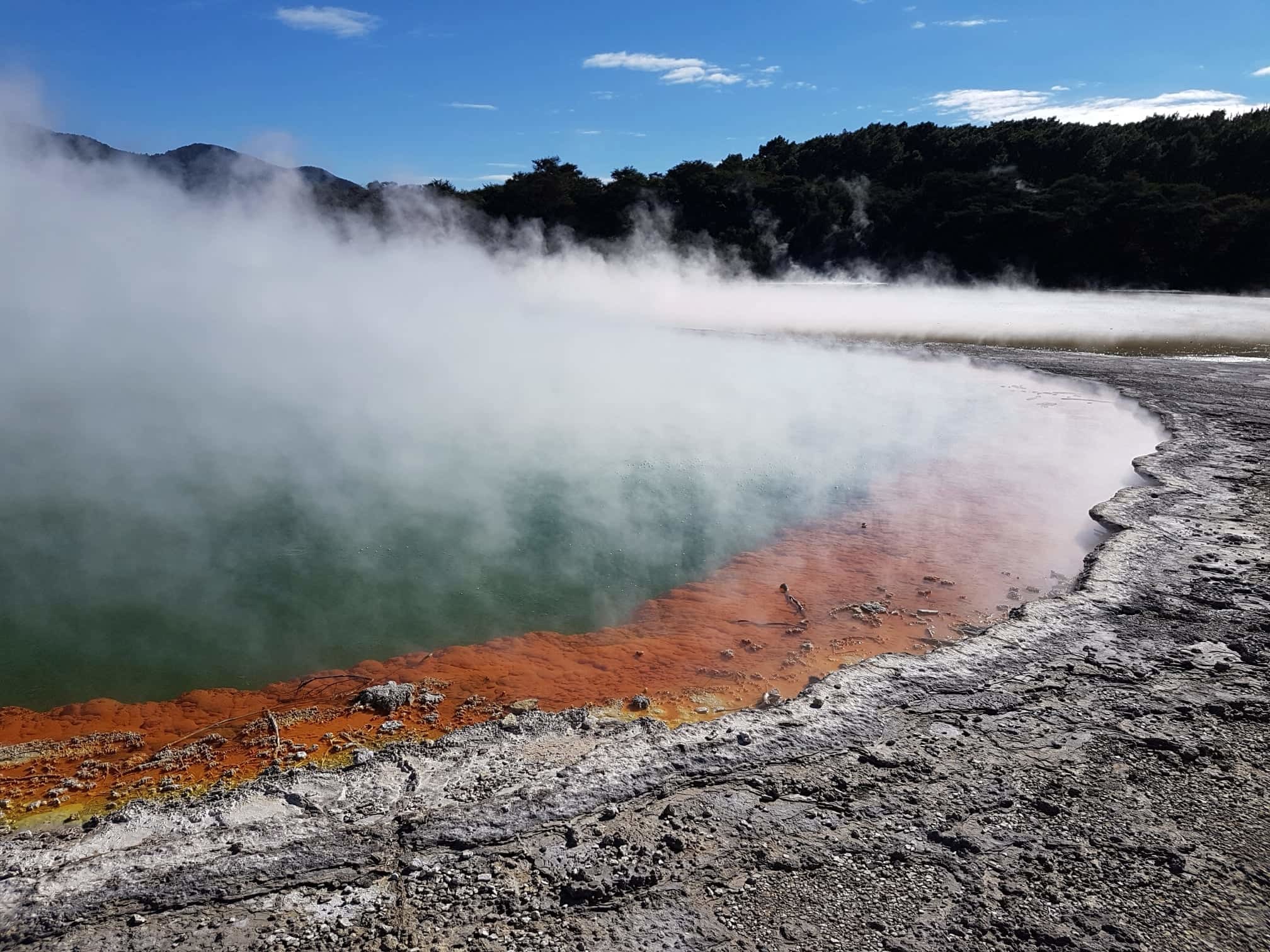 From Rotorua: Wai O Tapu & Waimangu Eco Thermal Morning Tour