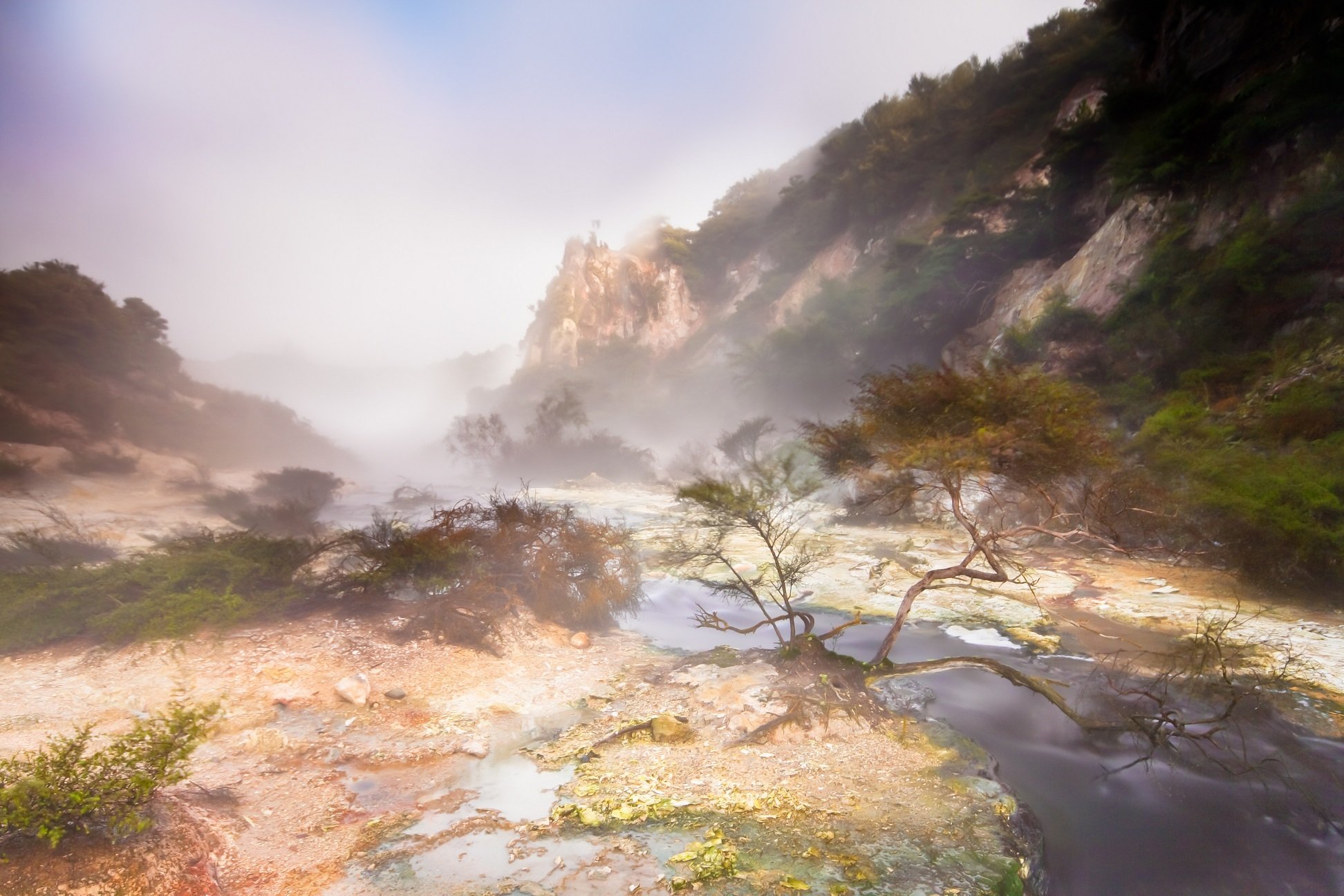 From Rotorua: Wai O Tapu & Waimangu Eco Thermal Morning Tour