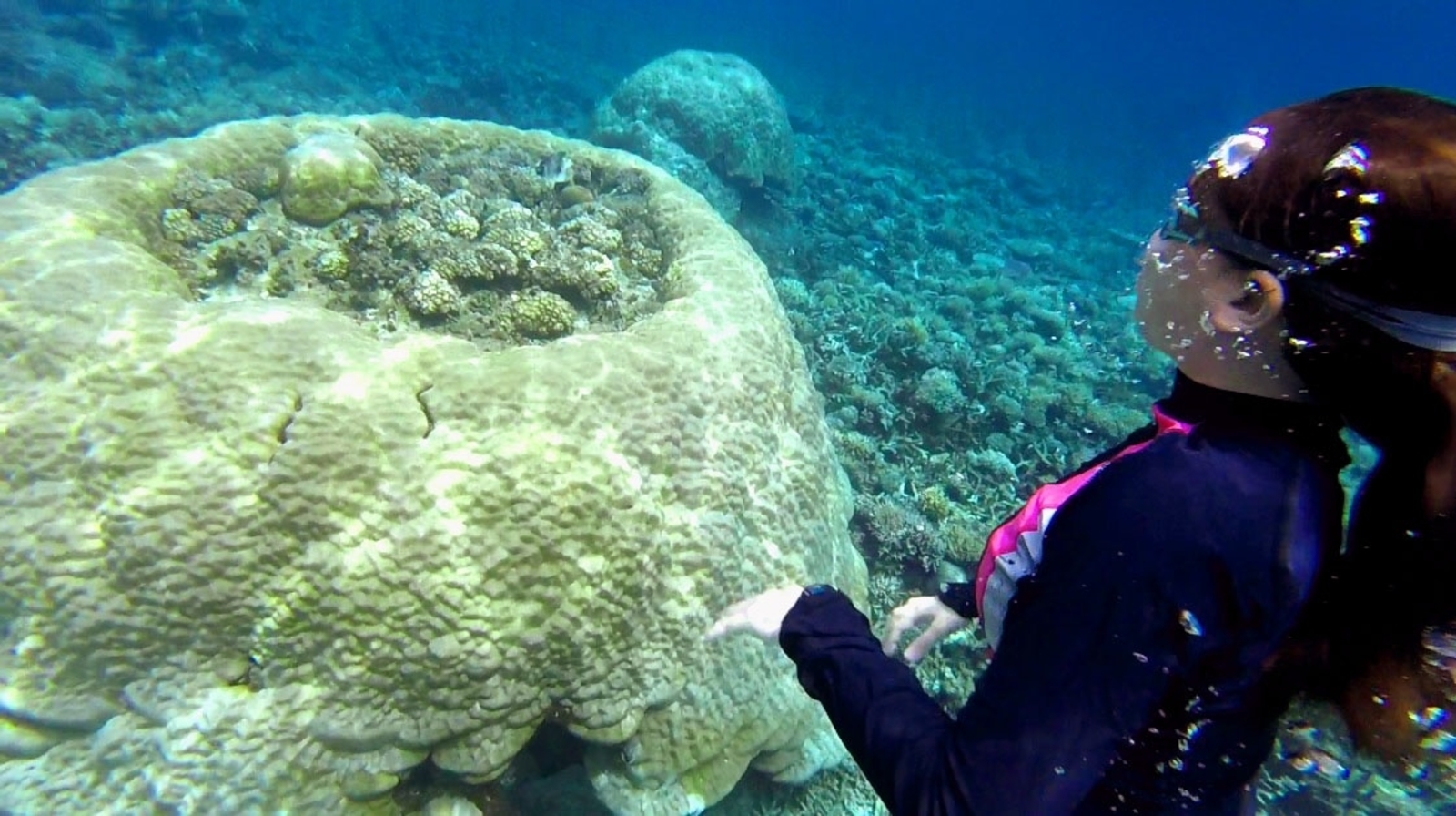 El Nido Island Hopping Tour B: Caves, Reefs & Snake Island