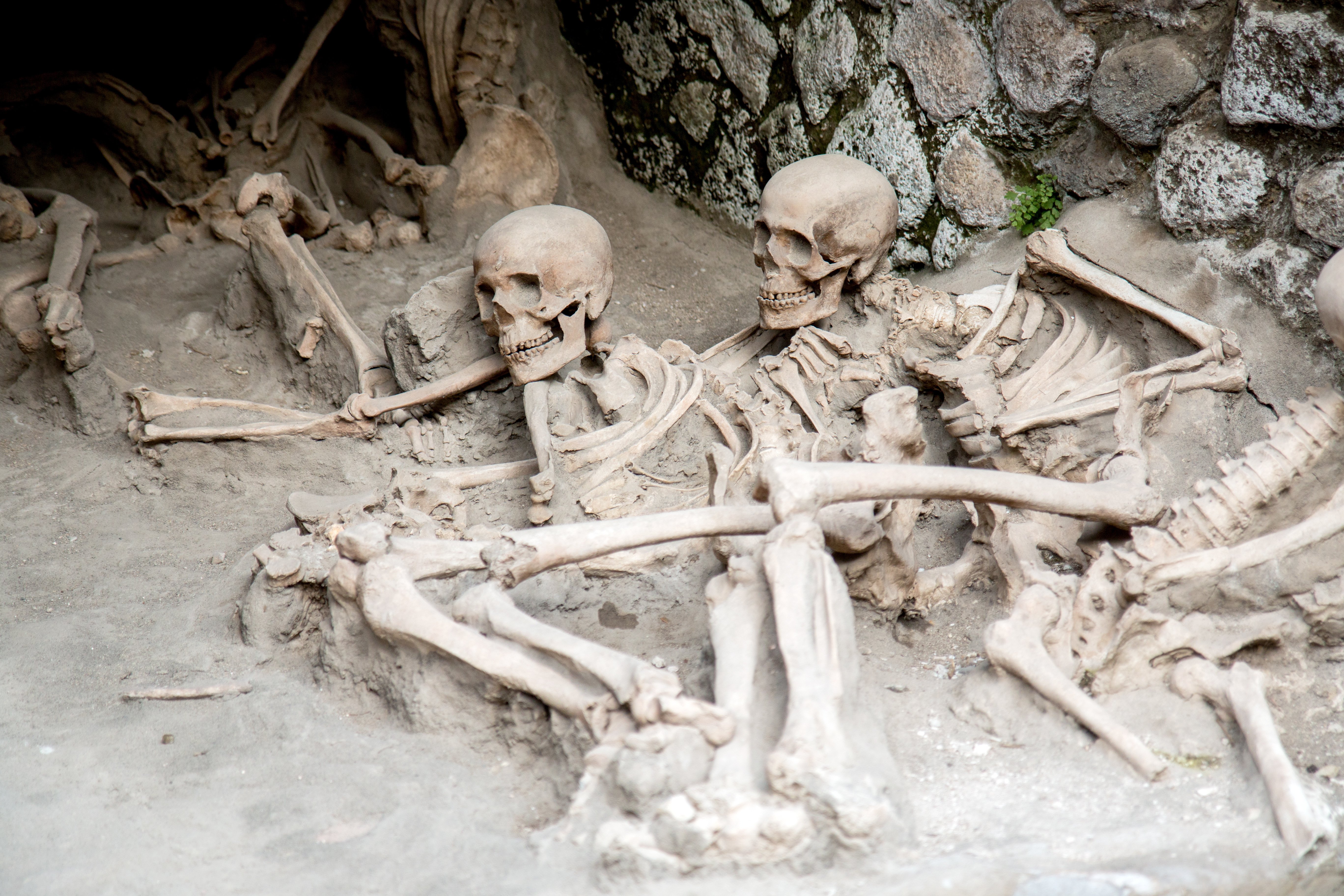 Sorrento to Herculaneum: Skip-the-Line Guided Tour by Express Train