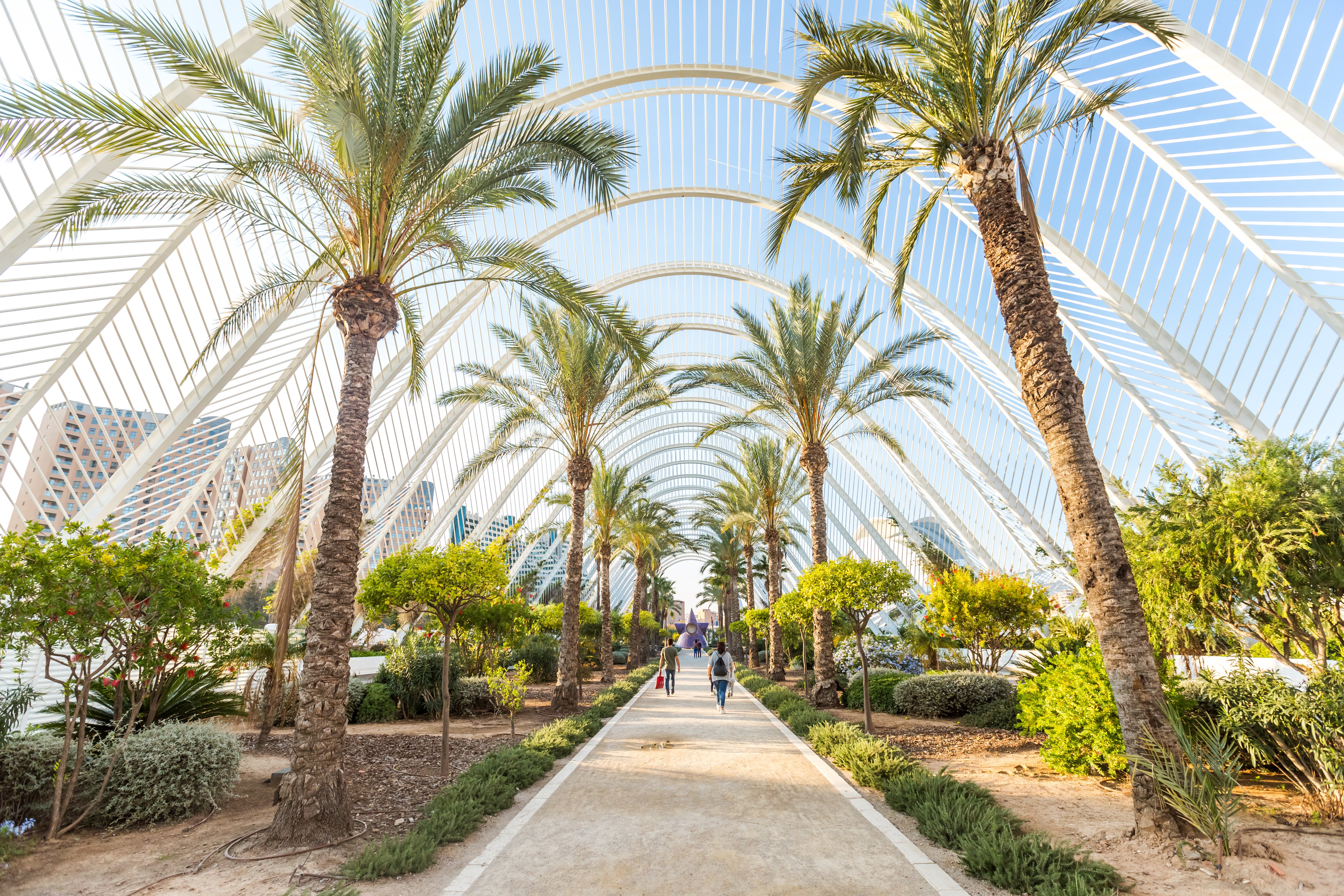 Valencia: Oceanogràfic & Science Museum Dual-Entry Pass