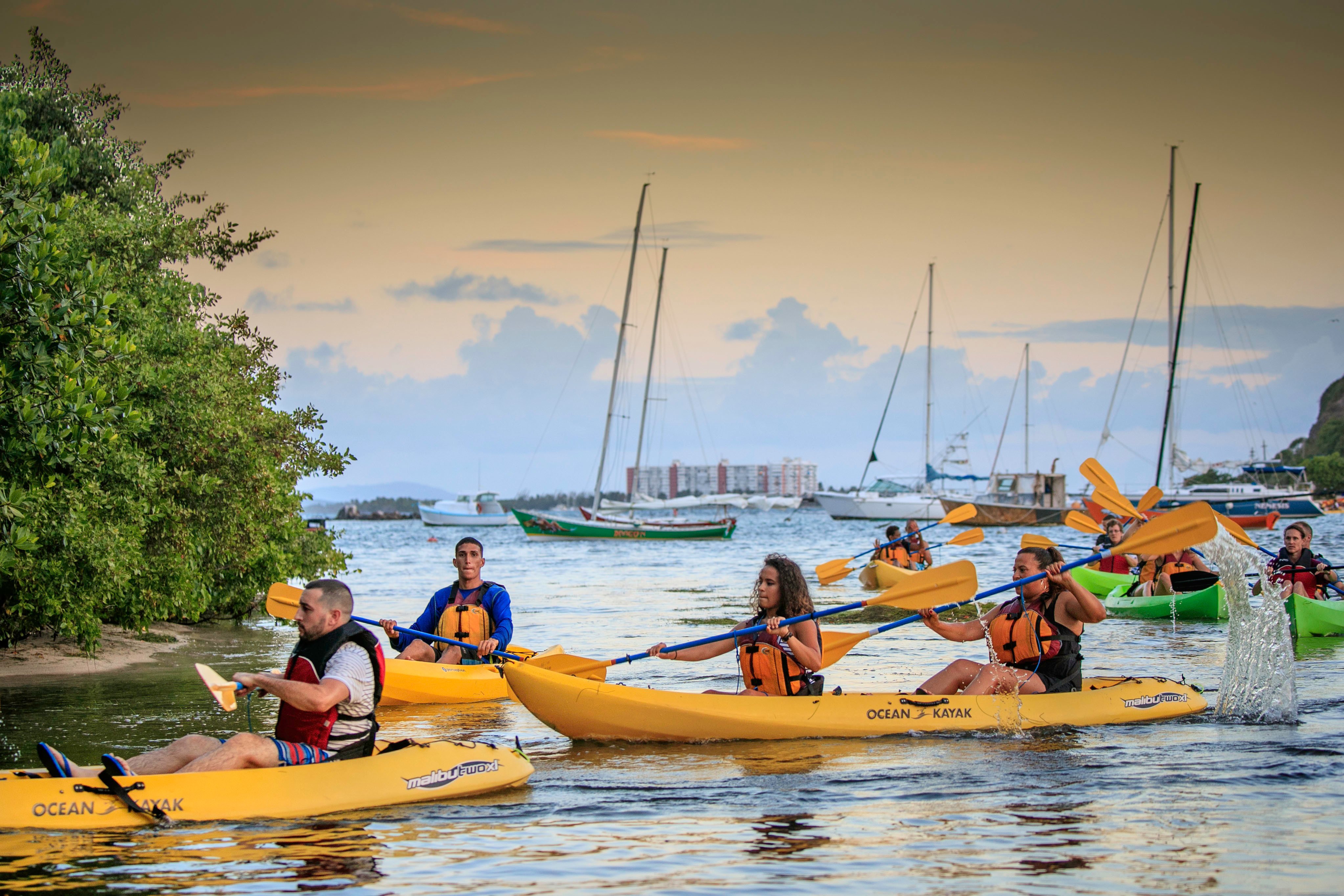 Fajardo Bioluminescent Bay Night Kayaking Tour