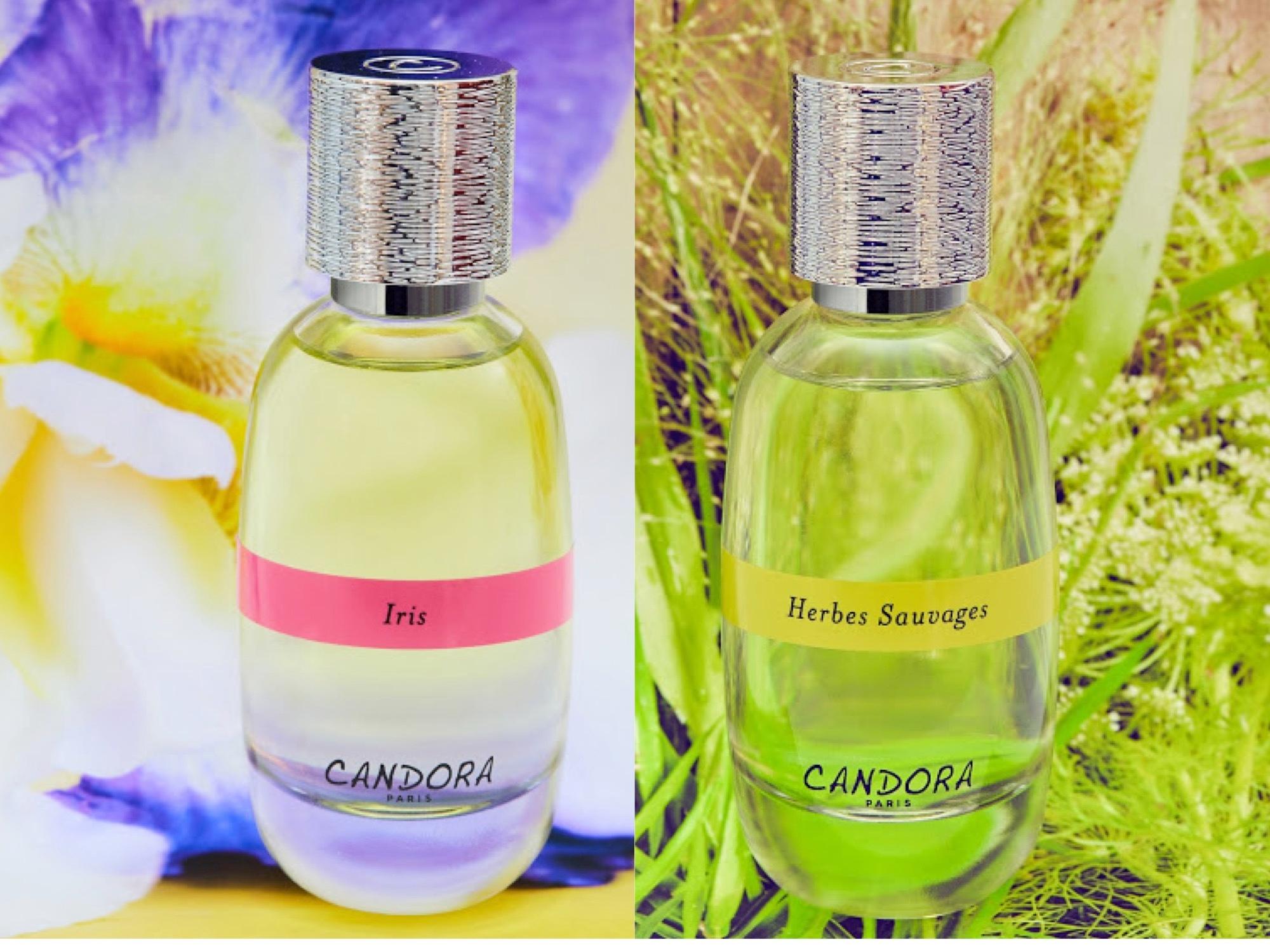 Paris perfume workshop — Le Marais atelier and signature scent creation — image 5