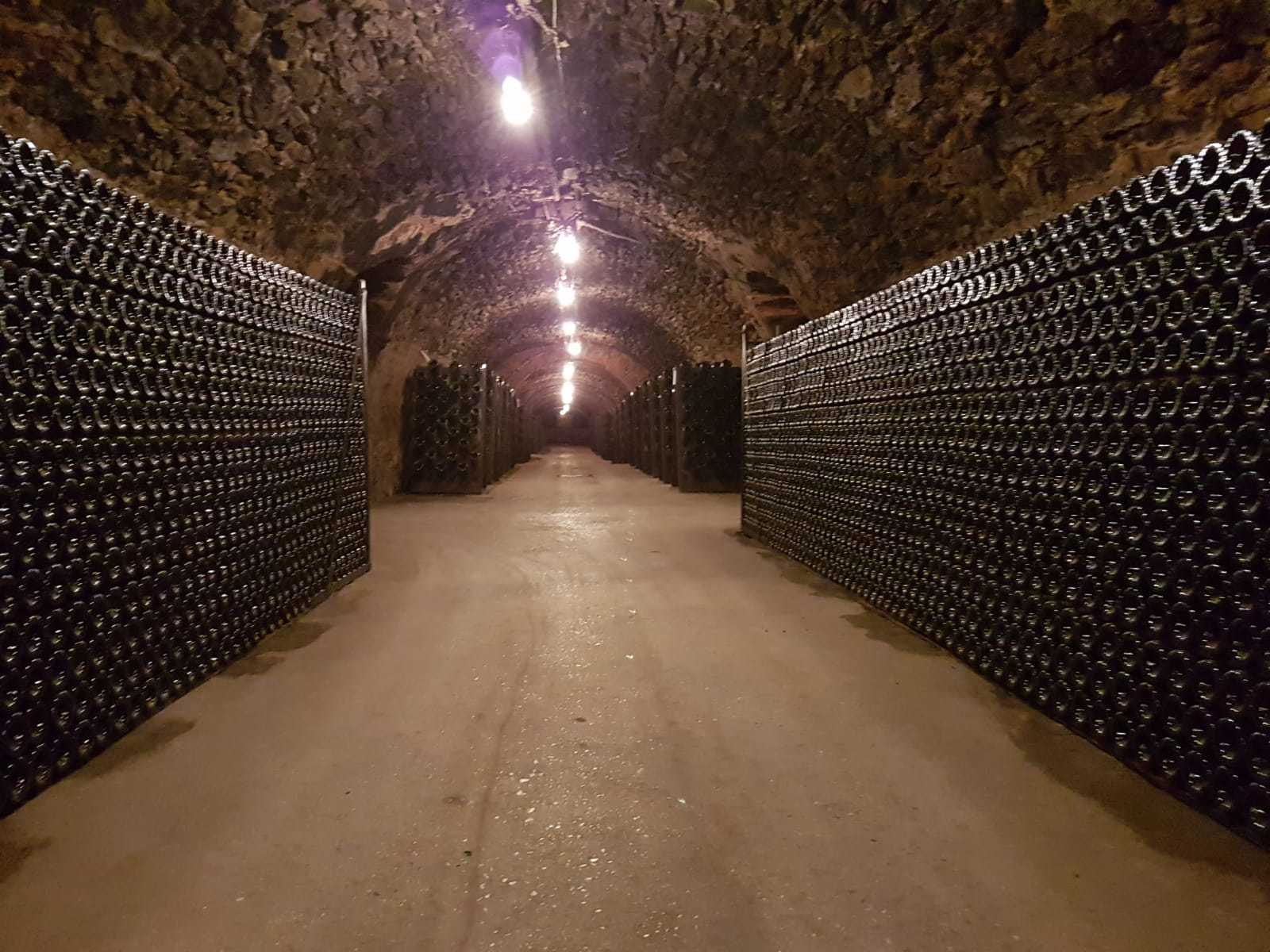 Champagne cellar tour at Vollereaux in Epernay — image 1