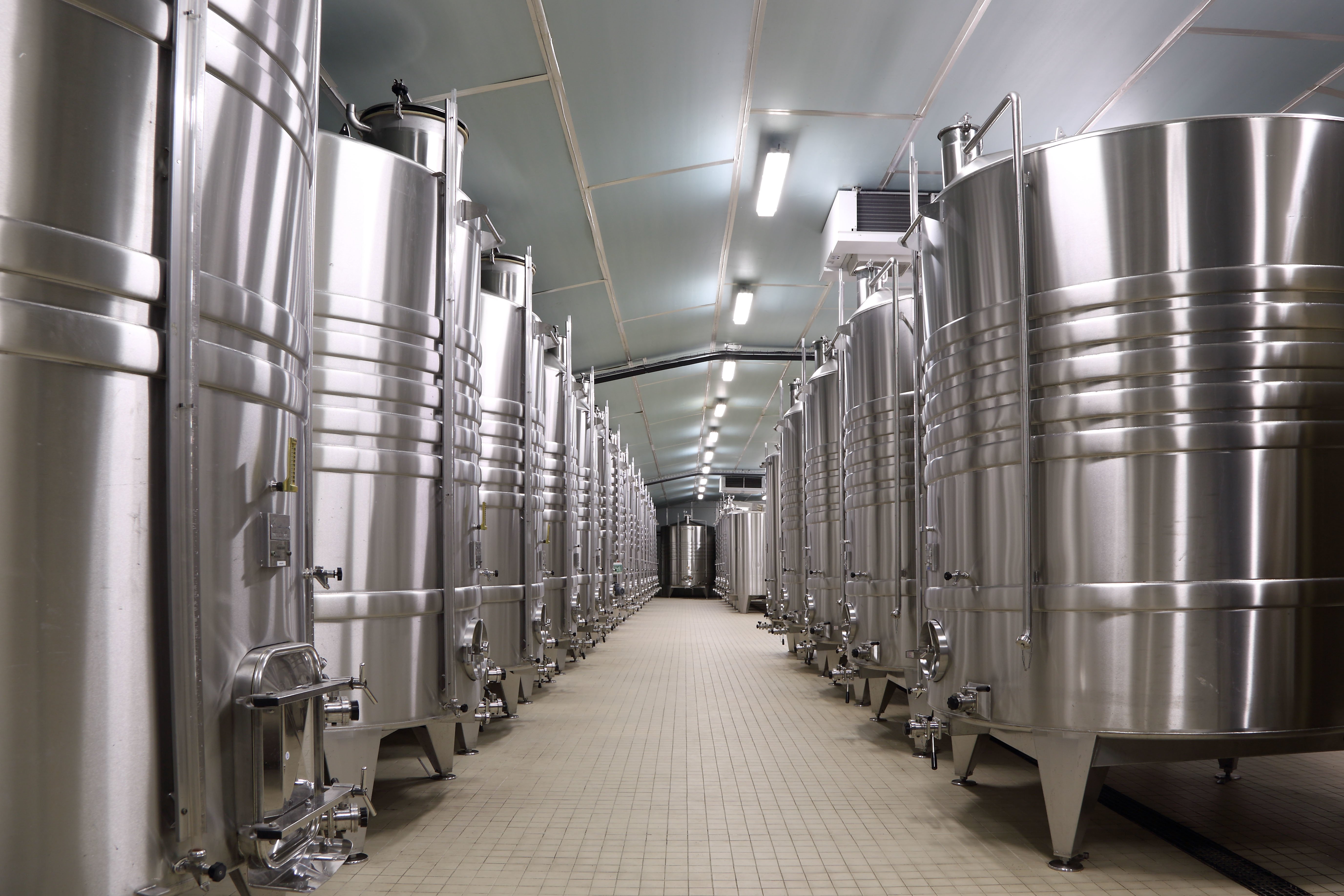 Champagne cellar tour at Vollereaux in Epernay — image 4