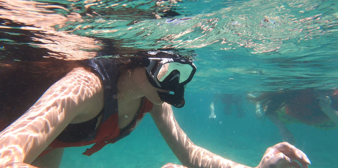 San Juan Shore Snorkeling with Turtles & Free Videos