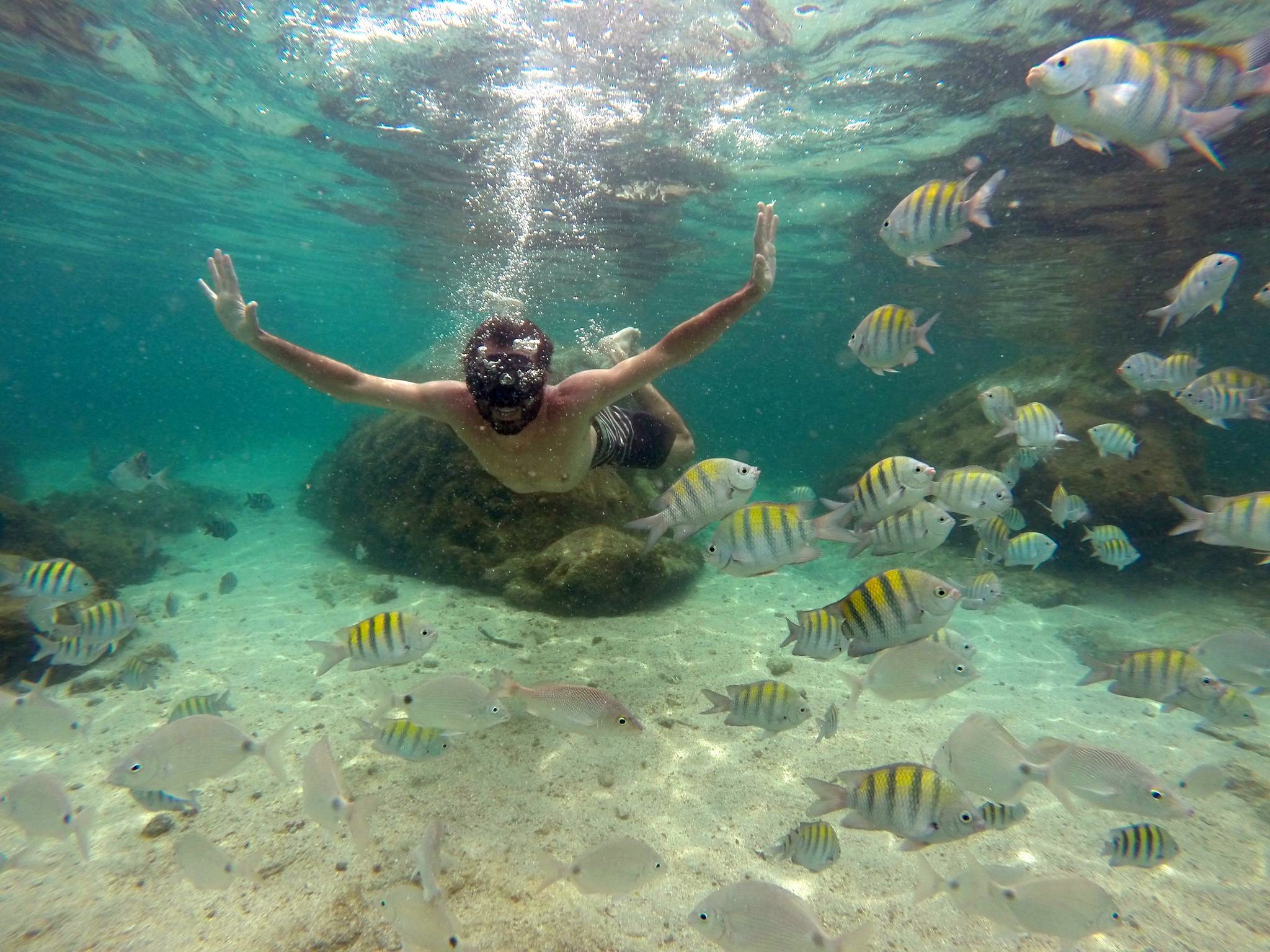 Speedboat Adventure to Angra dos Reis & Ilha Grande from Rio