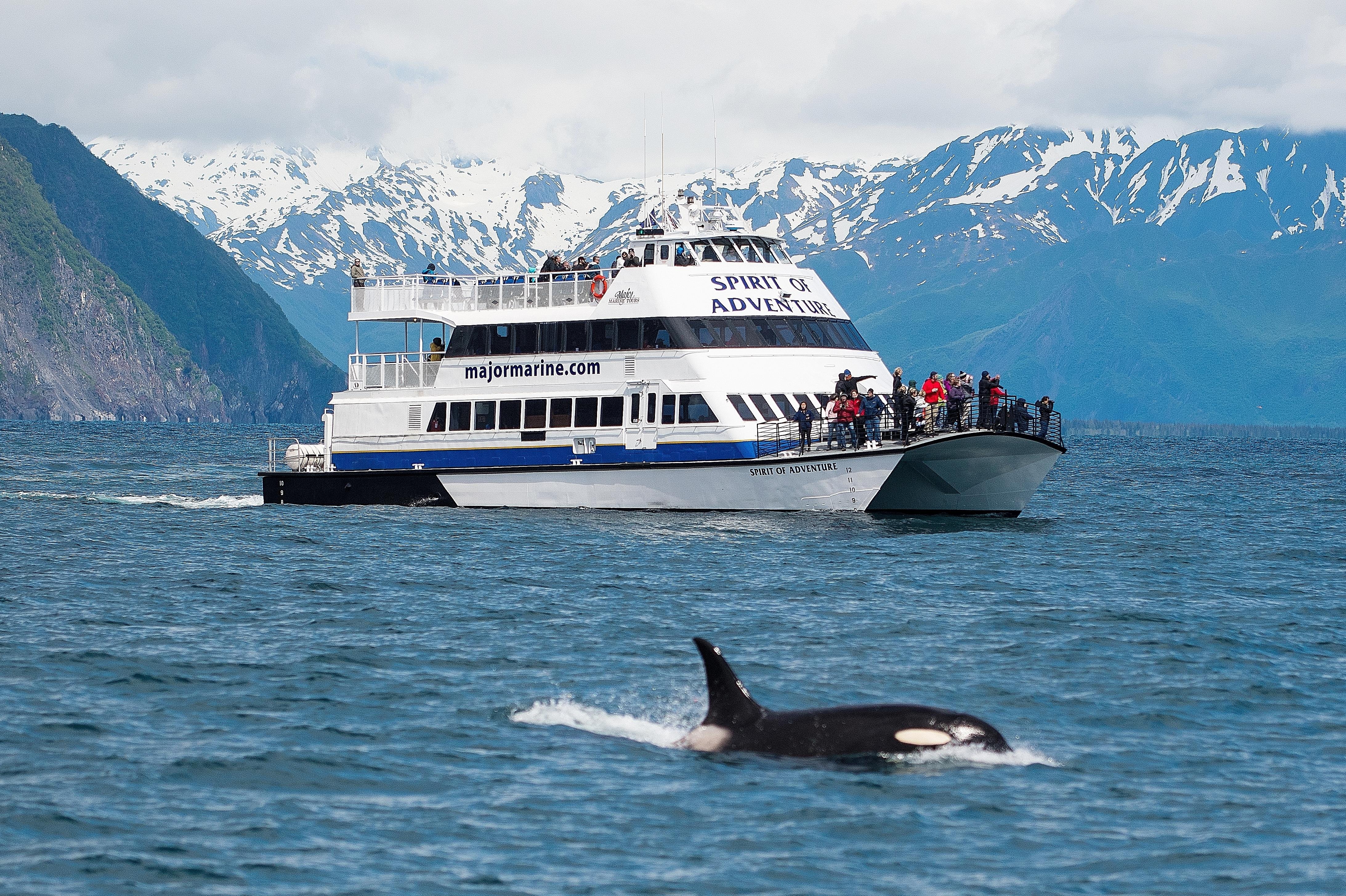 Seward: Kenai Fjords National Park Extended Glacier Cruise