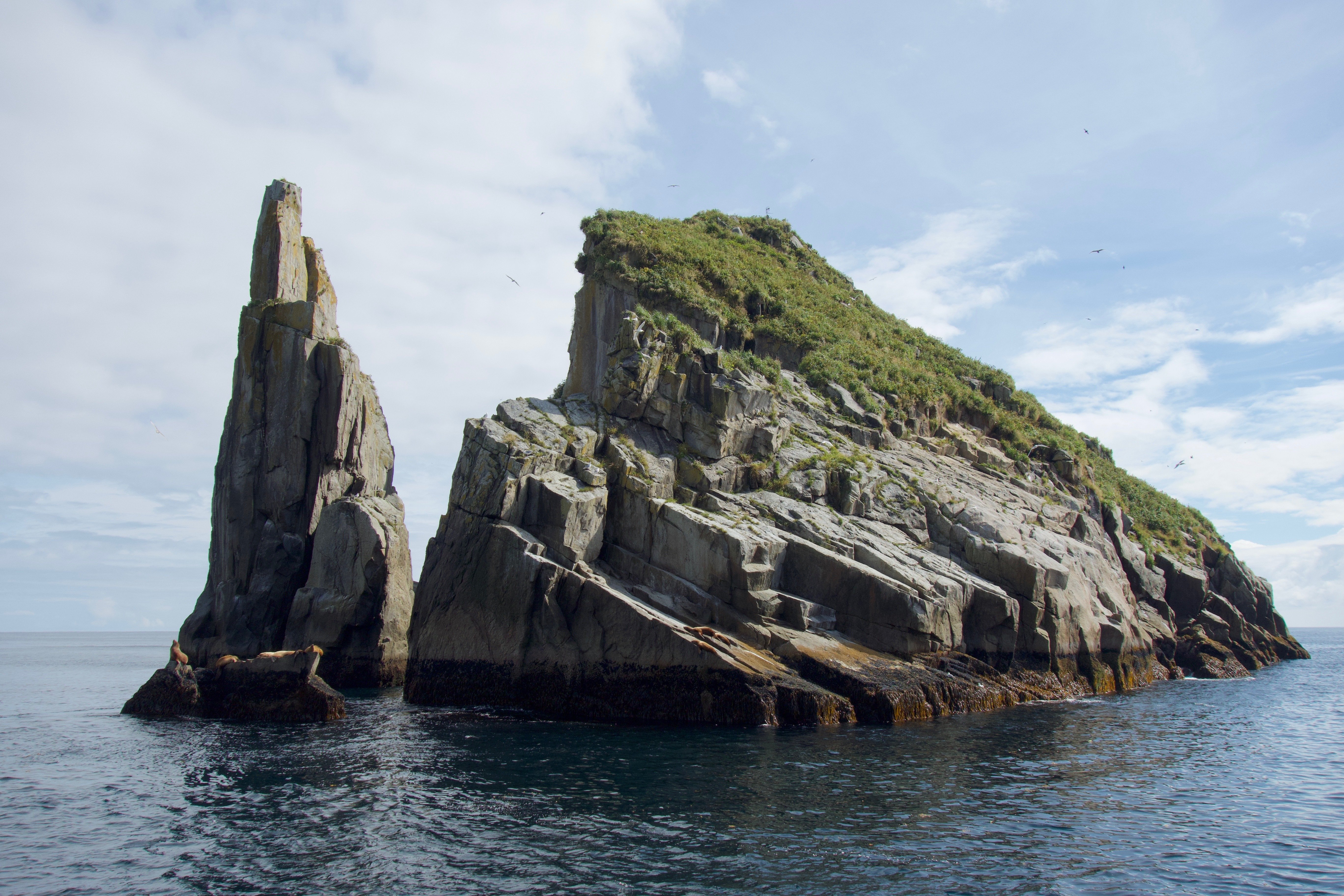 Seward: Kenai Fjords National Park Extended Glacier Cruise