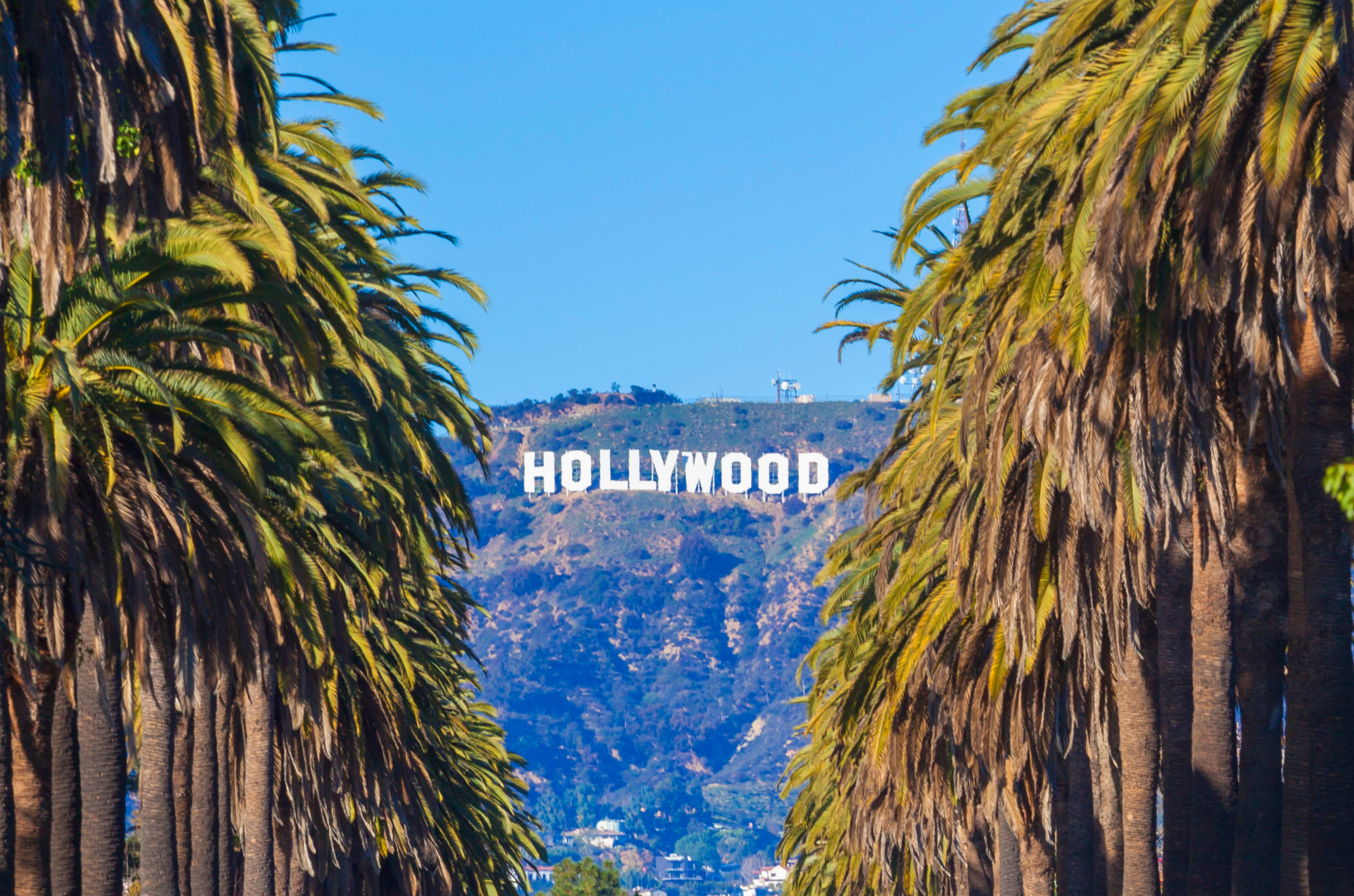 Hollywood open-air bus tour in Los Angeles — image 4