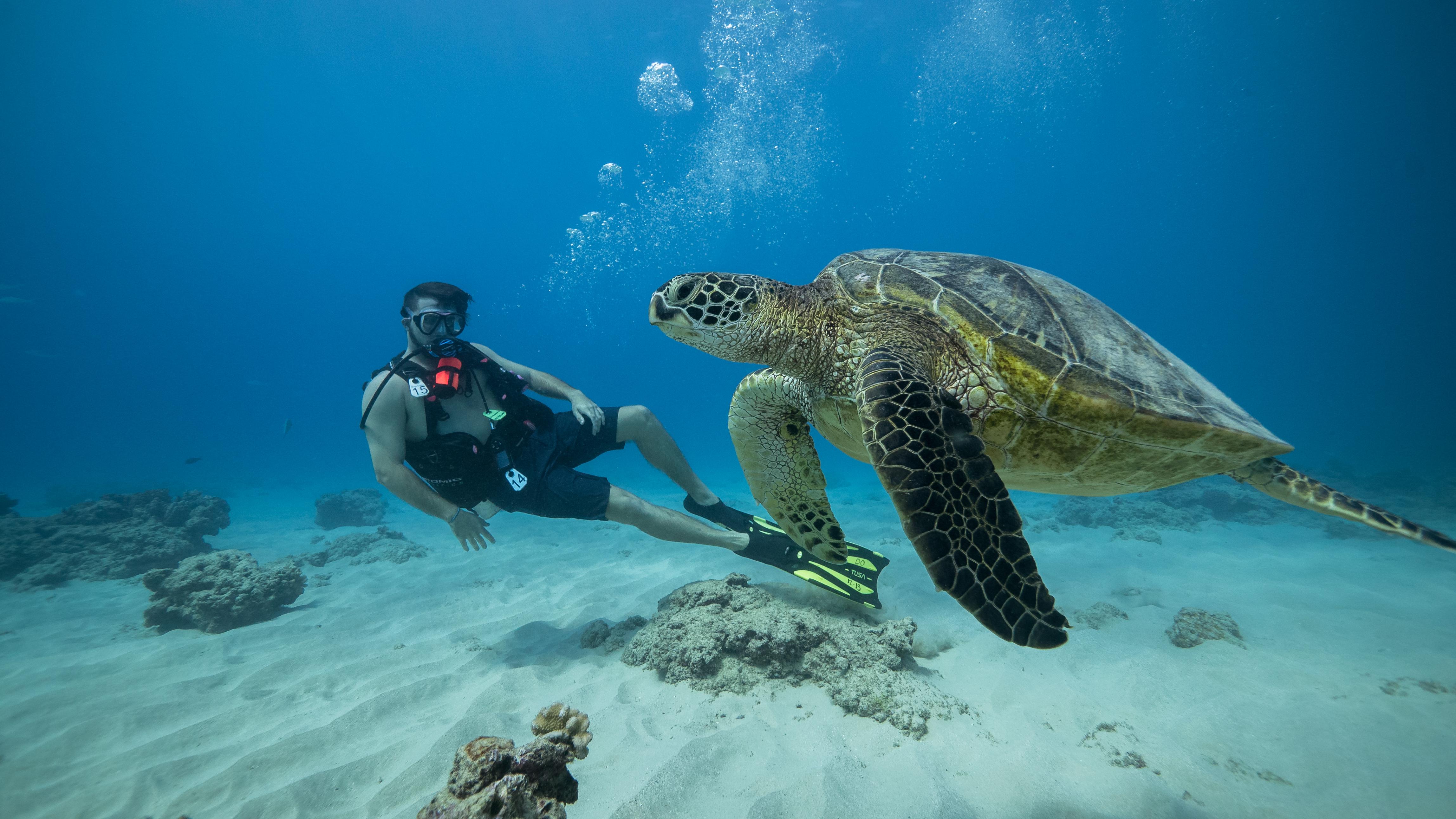 Waikiki Beginner Scuba Diving Adventure, Oahu