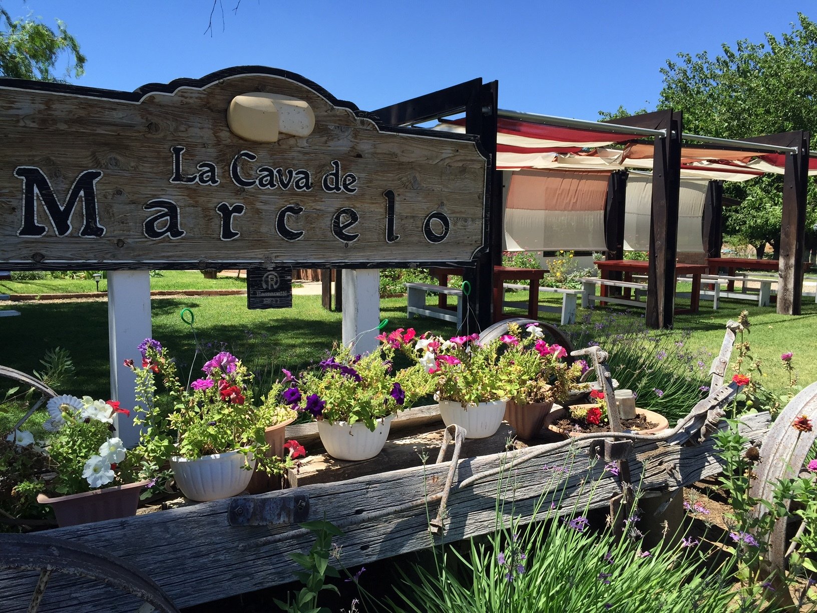 Ojos Negros Valley Cheese & Wine Tasting Experience