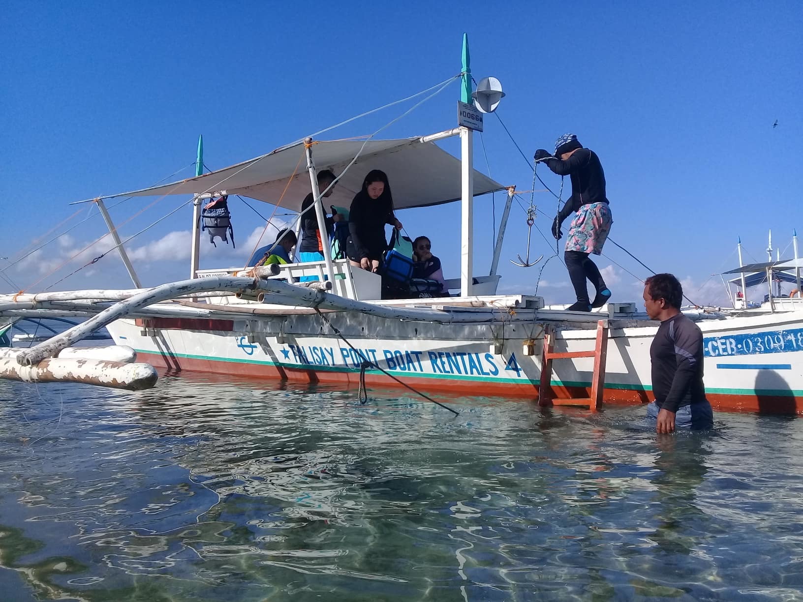 Cebu South Day Trip: Whale Sharks, Tumalog Falls & Moalboal Sardine Run