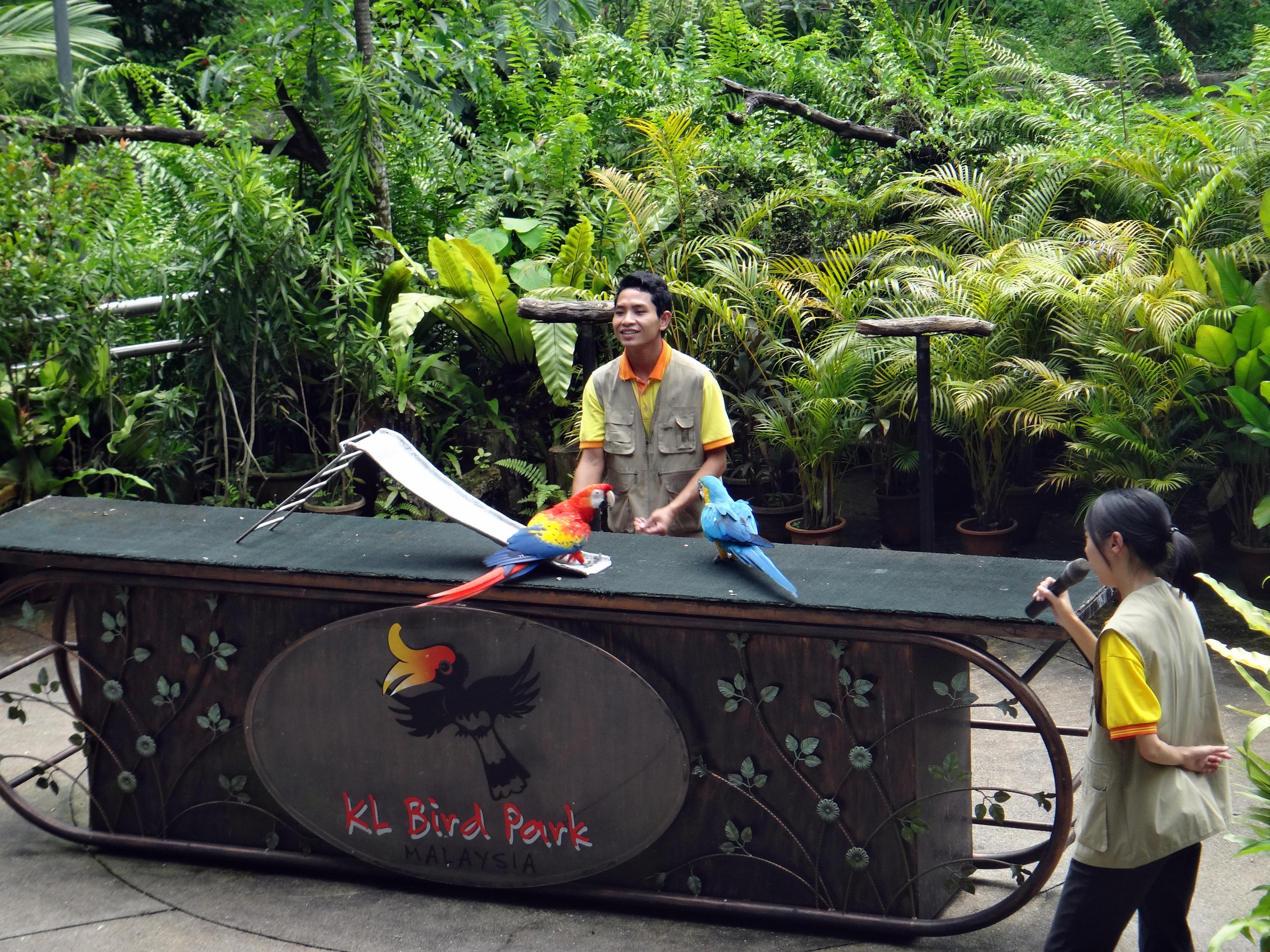 Kuala Lumpur Nature & Wildlife Half-Day Tour